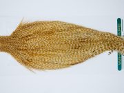 11877 Hebert Dry Fly Hackle Pro Grade Rooster Cape Medium Barred Ginger Ties Size 8-20