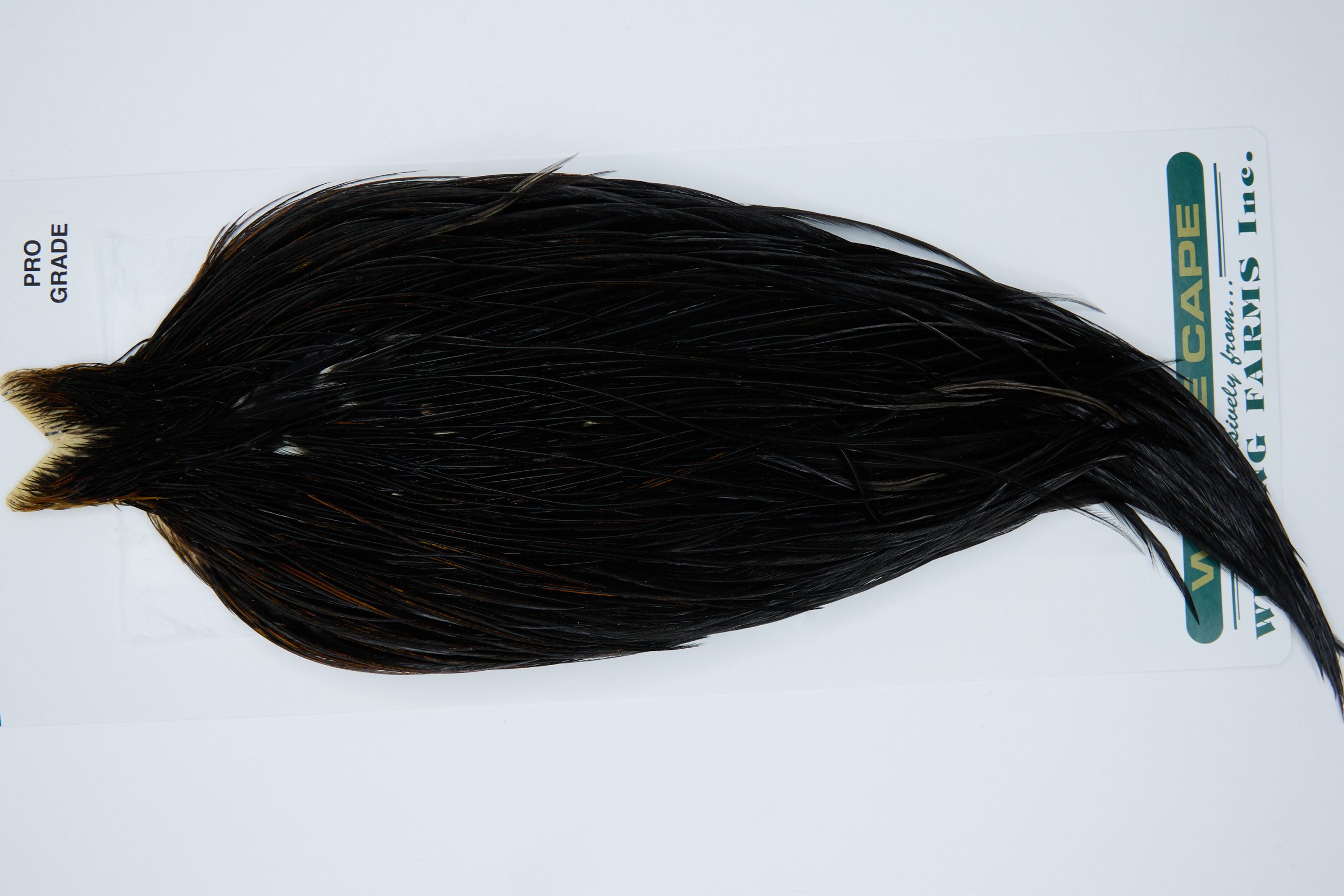 11889 Hebert Dry Fly Hackle Pro Grade Rooster Cape Black Ties Size 10-22