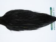 11891 Hebert Dry Fly Hackle Pro Grade Rooster Cape Black Ties Size 10-24