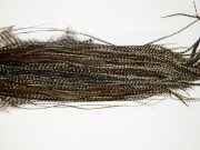 11951 Hebert Dry Fly Hackle Gold Grade Rooster Saddle Grizzly Variant Ties Size 14-16