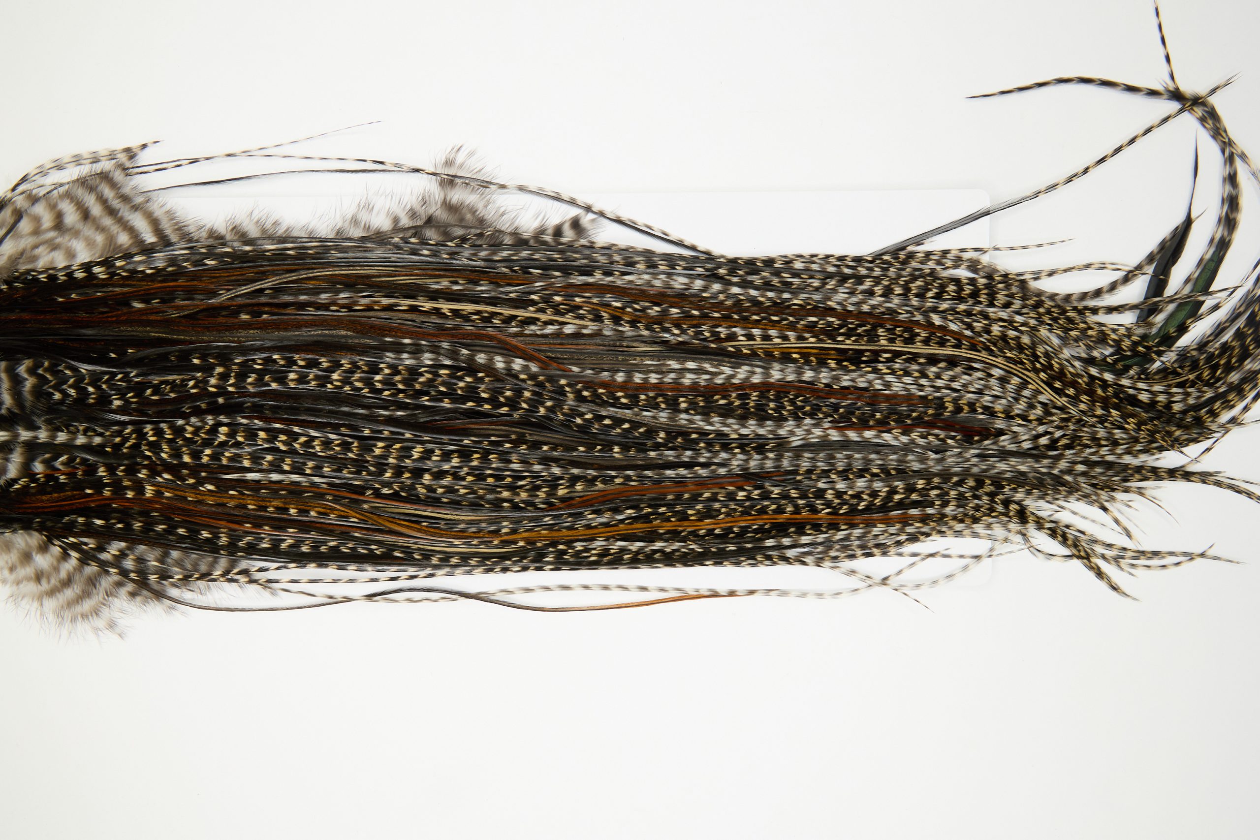 11951 Hebert Dry Fly Hackle Gold Grade Rooster Saddle Grizzly Variant Ties Size 14-16