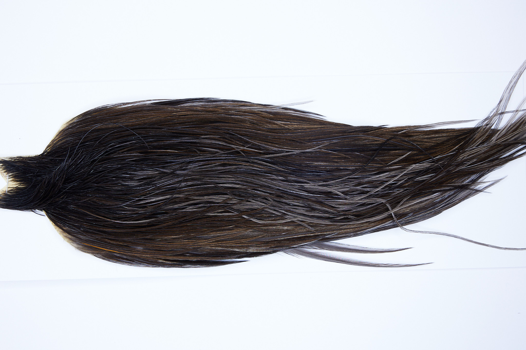 9848a JimsFlyCo Dry Fly Hackle Rhodium Rooster Cape Brown Dun Ties Size 10-20