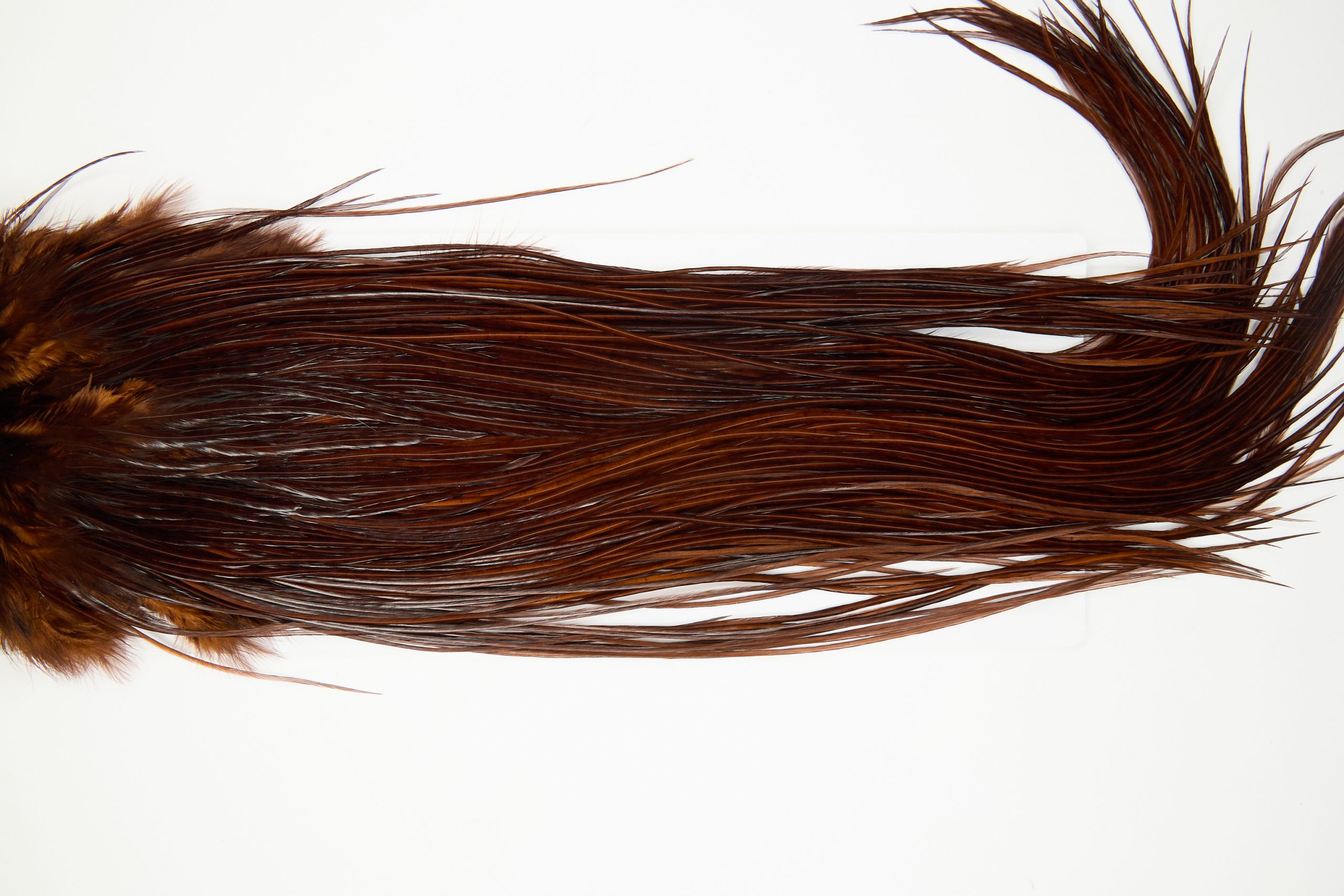 11956 Hebert Dry Fly Hackle Gold Grade Rooster Saddle Coachman Brown Ties Size 10-12