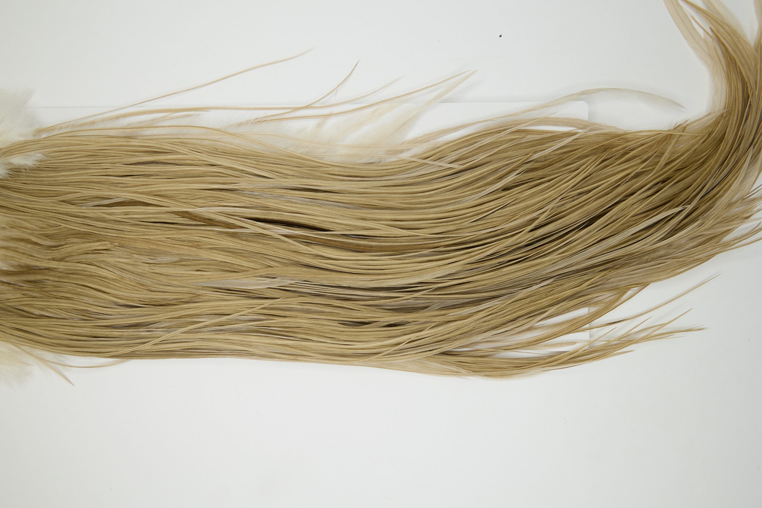 11959 Hebert Dry Fly Hackle Gold Grade Rooster Saddle Light Tan Dun Ties Size 10-14