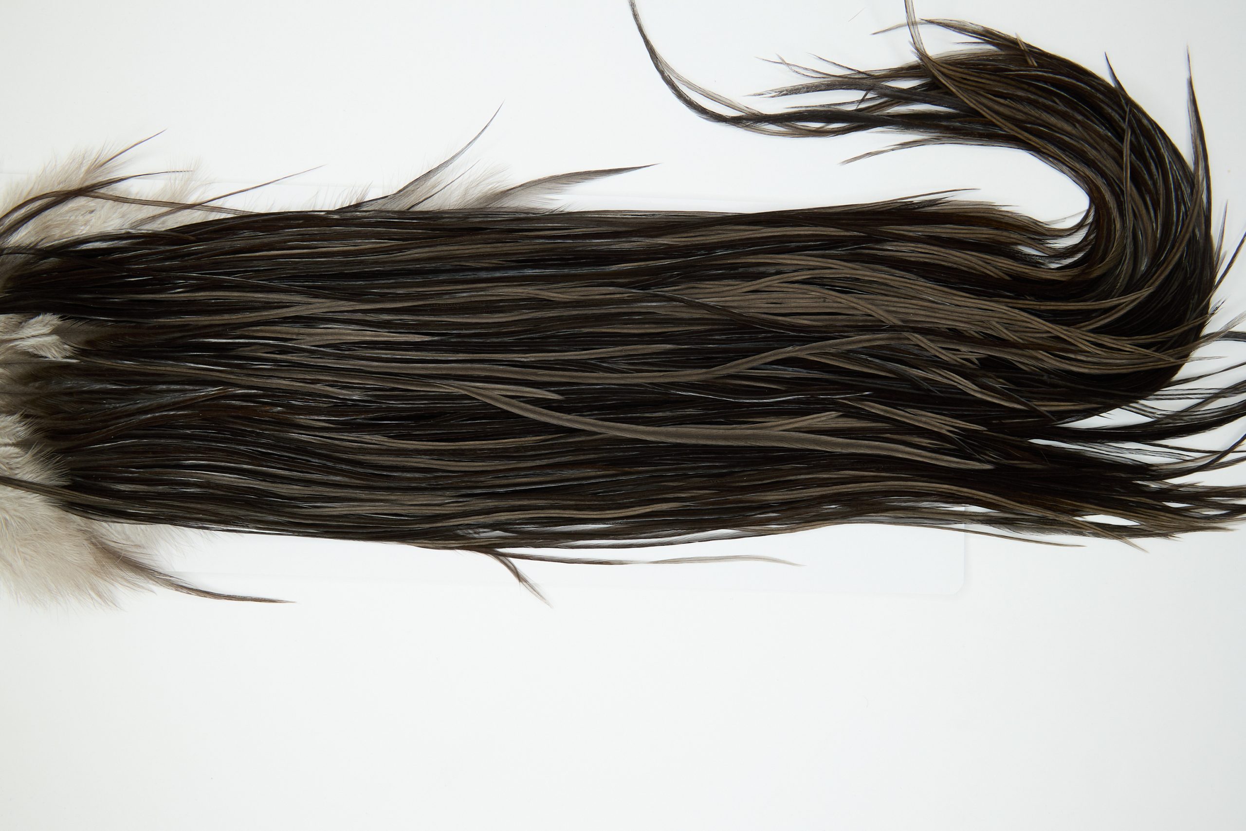 11967 Hebert Dry Fly Hackle Gold Grade Rooster Saddle Dark Grey Dun Ties Size 12-16