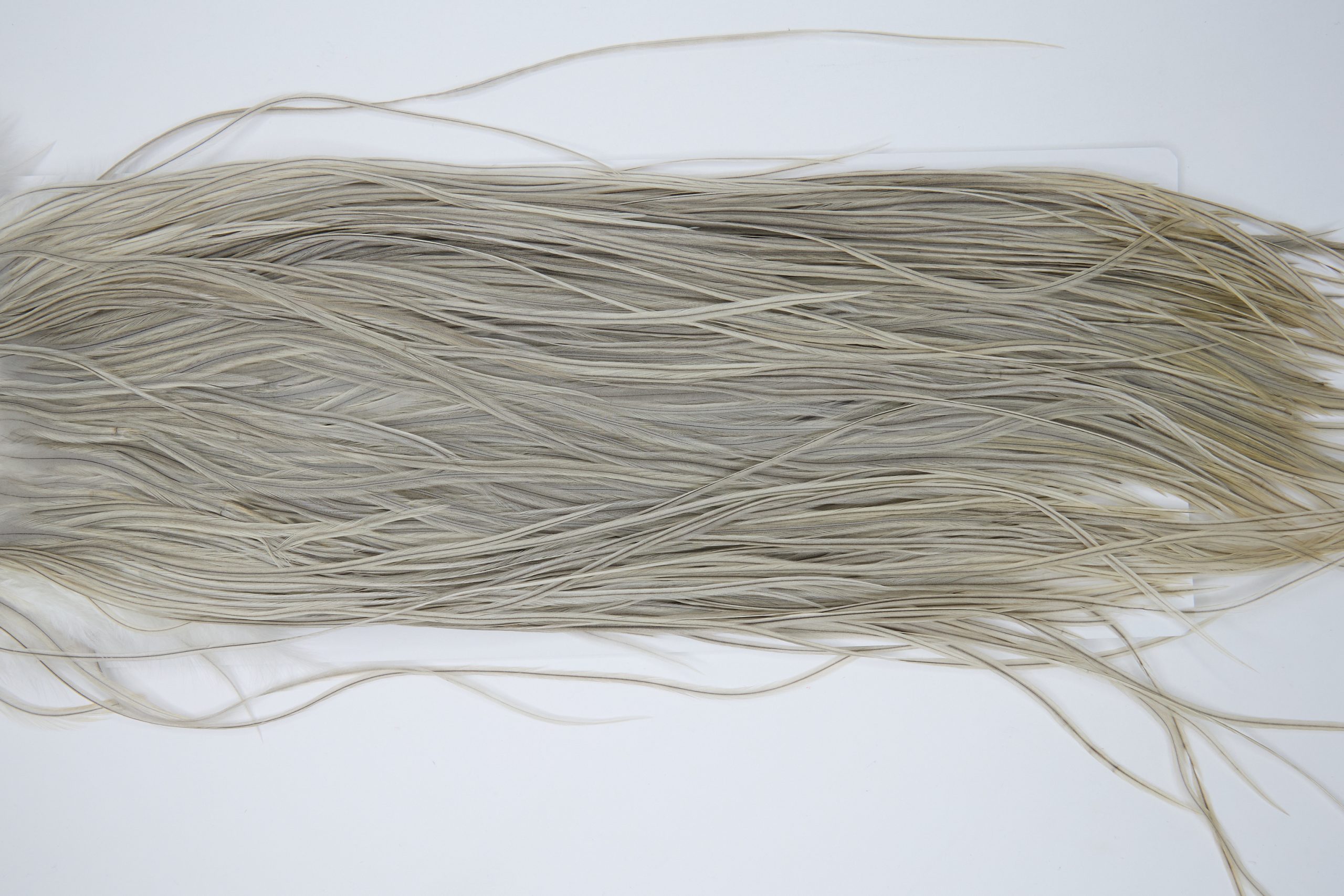 12008 Hebert Dry Fly Hackle Silver Grade Rooster Saddle Light Grey Dun Ties Size 12-16