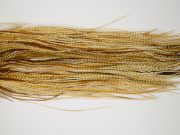 12022 Hebert Dry Fly Hackle Silver Grade Rooster Saddle Medium Barred Ginger Ties Size 12-16