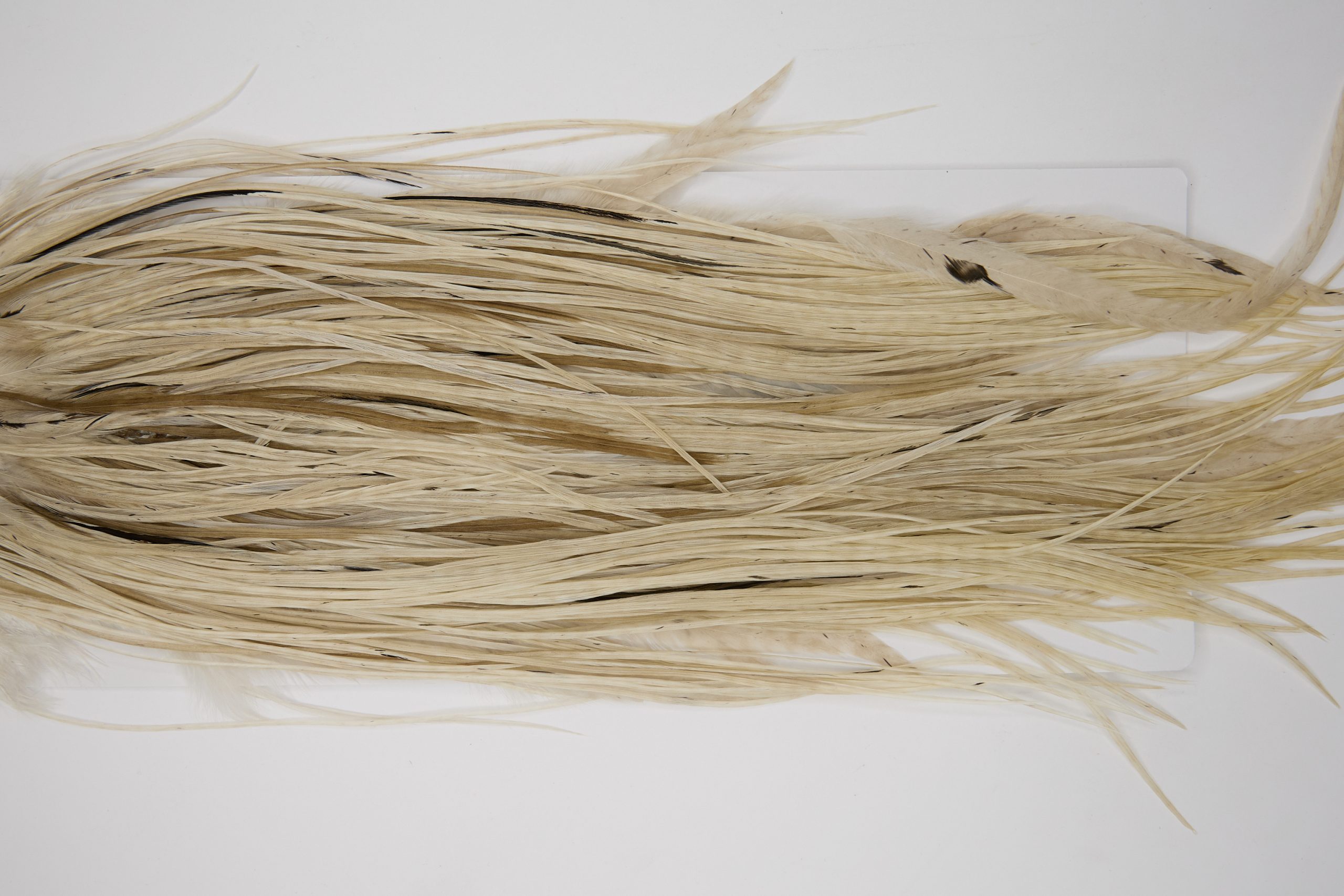 12061 Hebert Dry Fly Hackle Bronze Grade Rooster Saddle Pale Watery Dun Ties Size 12-18