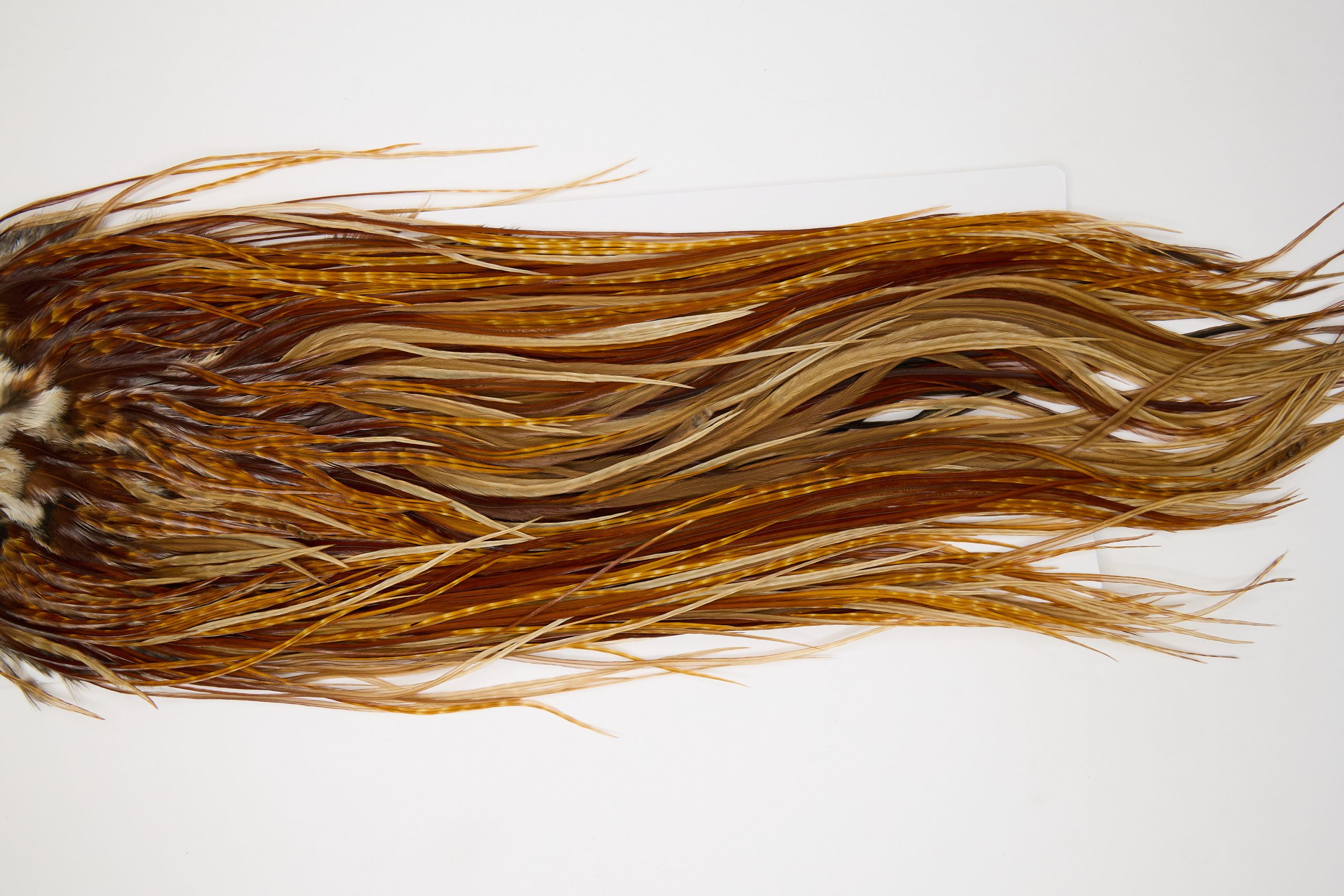 12065 Hebert Dry Fly Hackle Pro Grade Rooster Saddle Barred Dark Ginger Ties Size 12-16