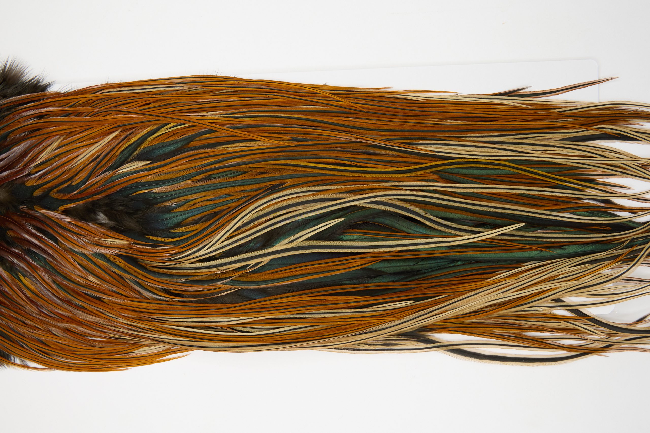 12077 Hebert Dry Fly Hackle Pro Grade Rooster Saddle Furnace Ties Size 14-16