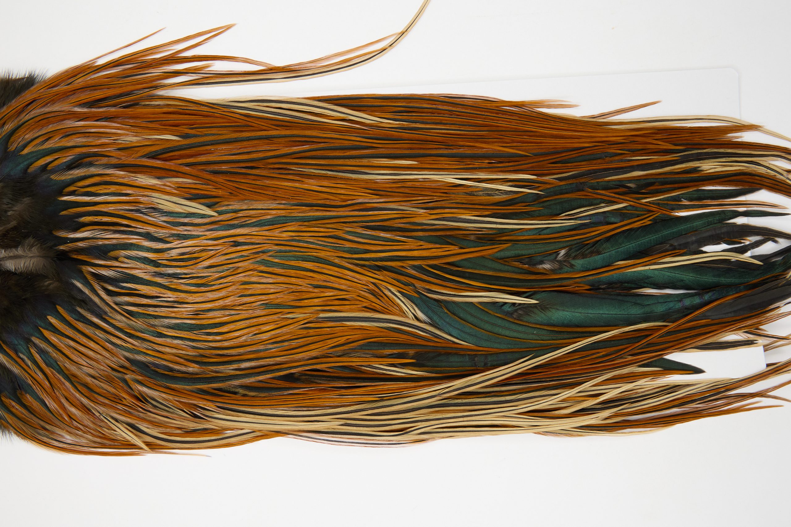12079 Hebert Dry Fly Hackle Pro Grade Rooster Saddle Furnace Ties Size 12-14