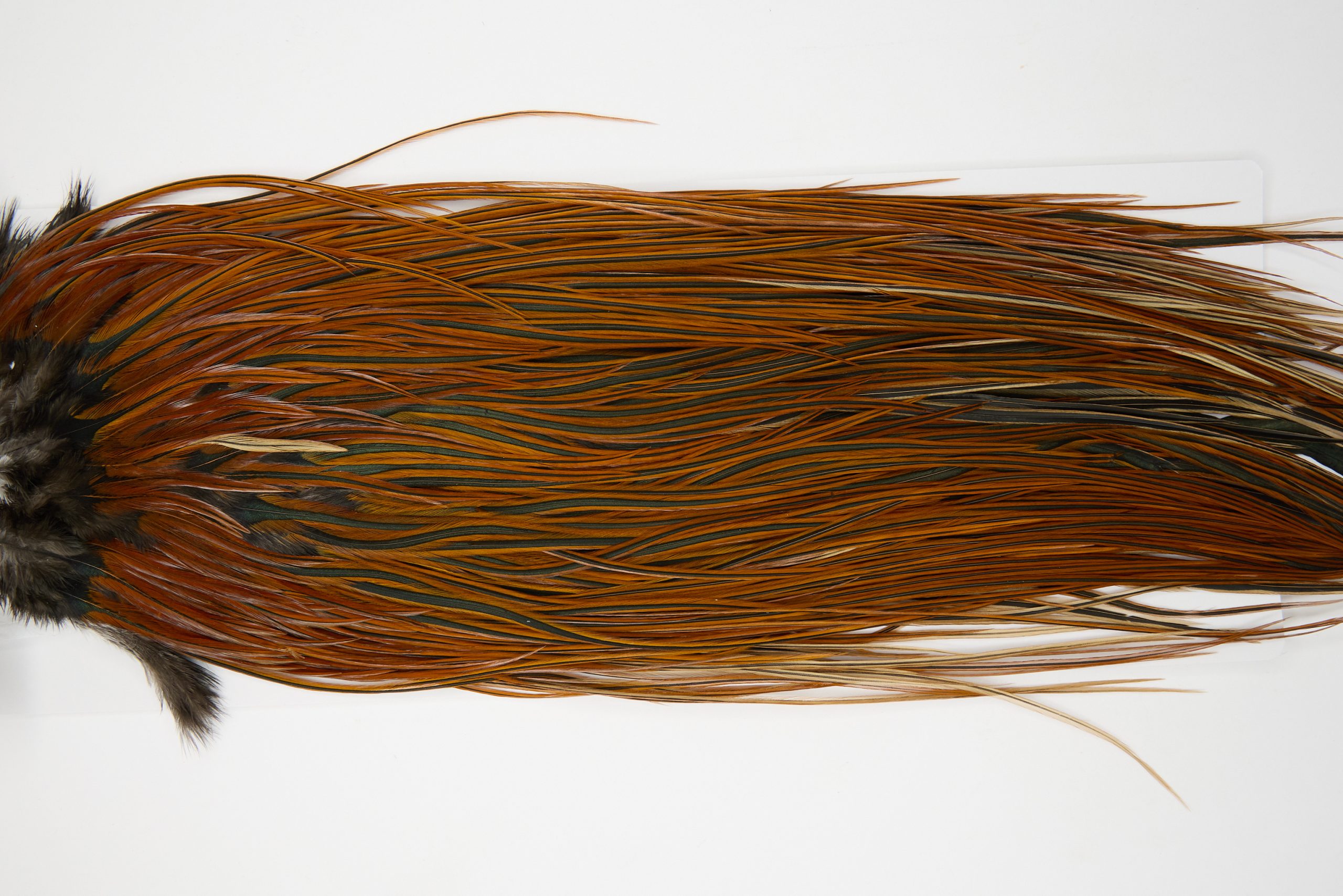 12082 Hebert Dry Fly Hackle Pro Grade Rooster Saddle Furnace Ties Size 14-16