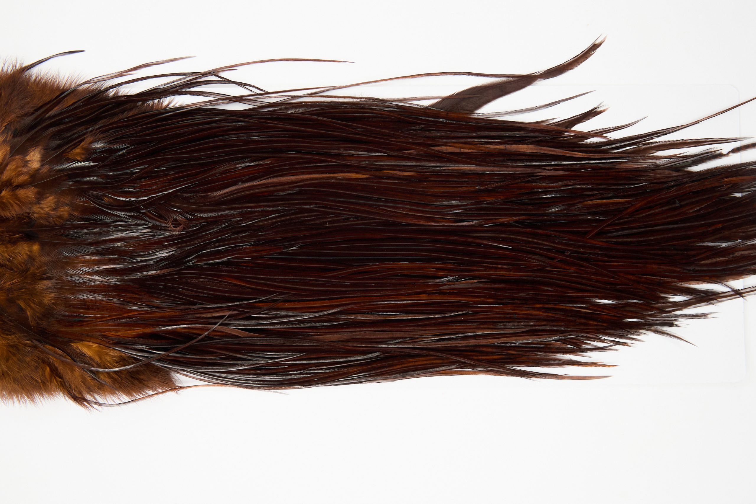 12085 Hebert Dry Fly Hackle Pro Grade Rooster Saddle Coachman Brown Ties Size 12-16