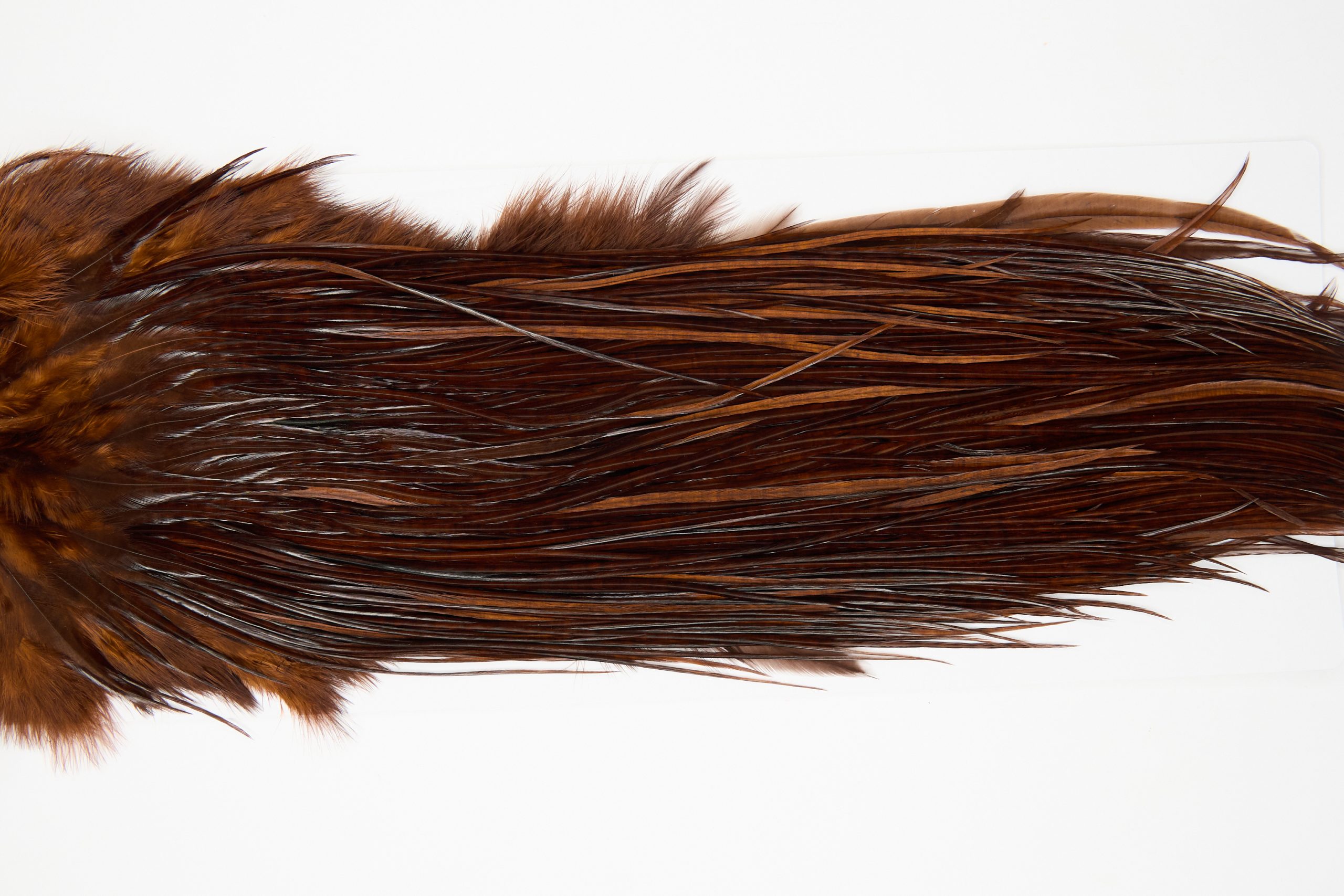 12088 Hebert Dry Fly Hackle Pro Grade Rooster Saddle Coachman Brown Ties Size 12-16