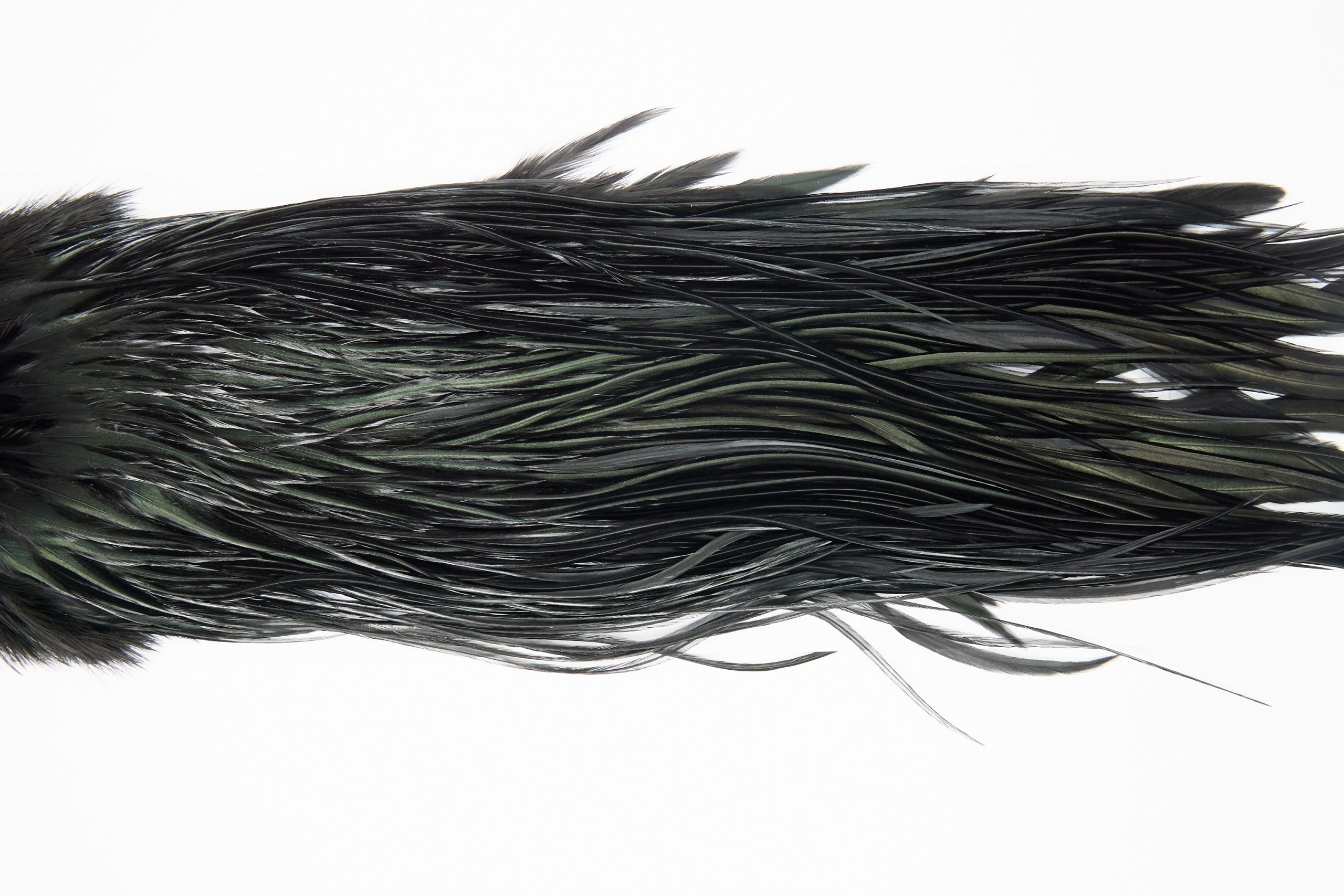 12109 Hebert Dry Fly Hackle Pro Grade Rooster Saddle Black Ties Size 12-14