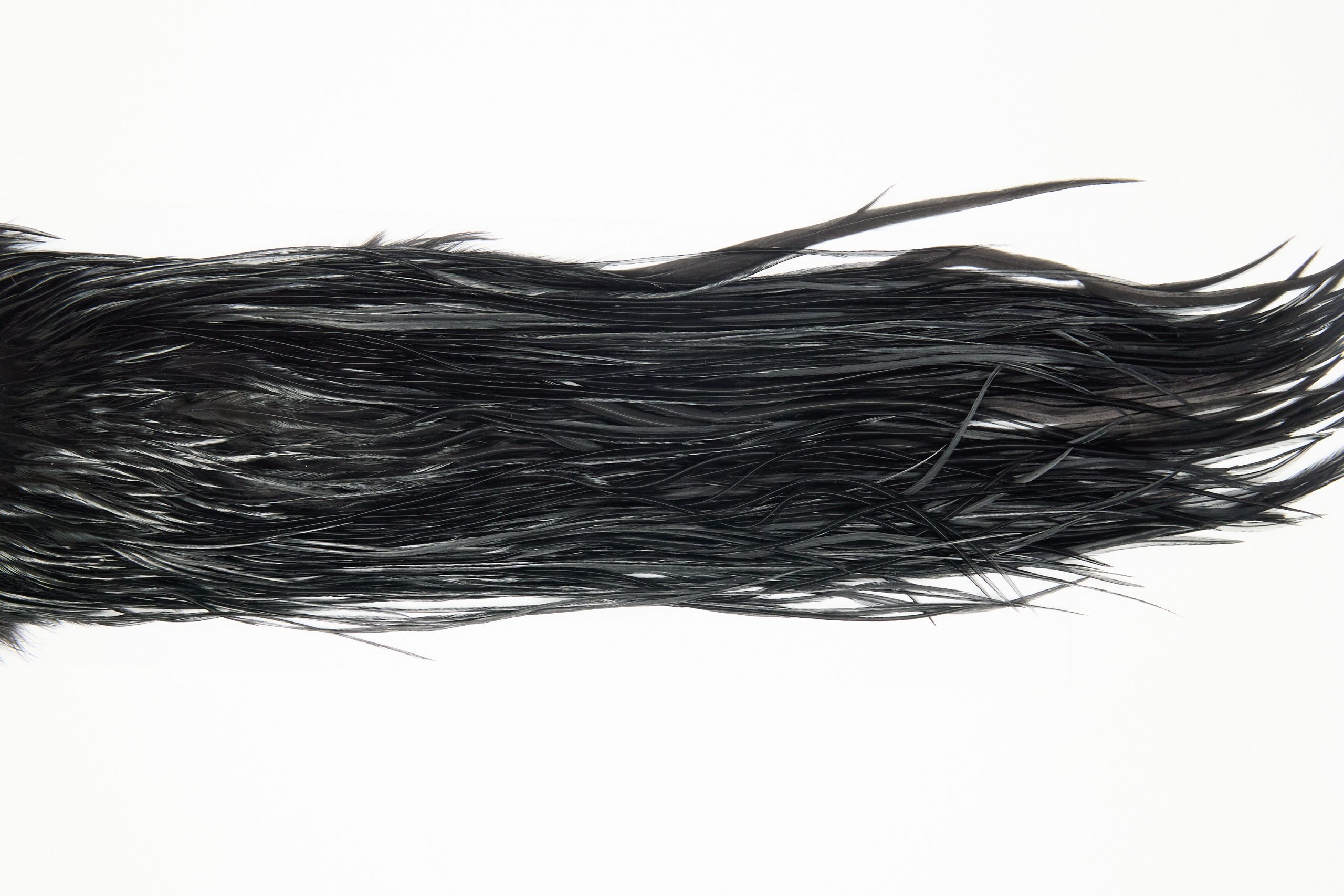 12111 Hebert Dry Fly Hackle Pro Grade Rooster Saddle Black Ties Size 12-16