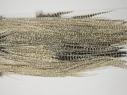 12118 Hebert Dry Fly Hackle Pro Grade Rooster Saddle Unique Variant Ties Size 12-16