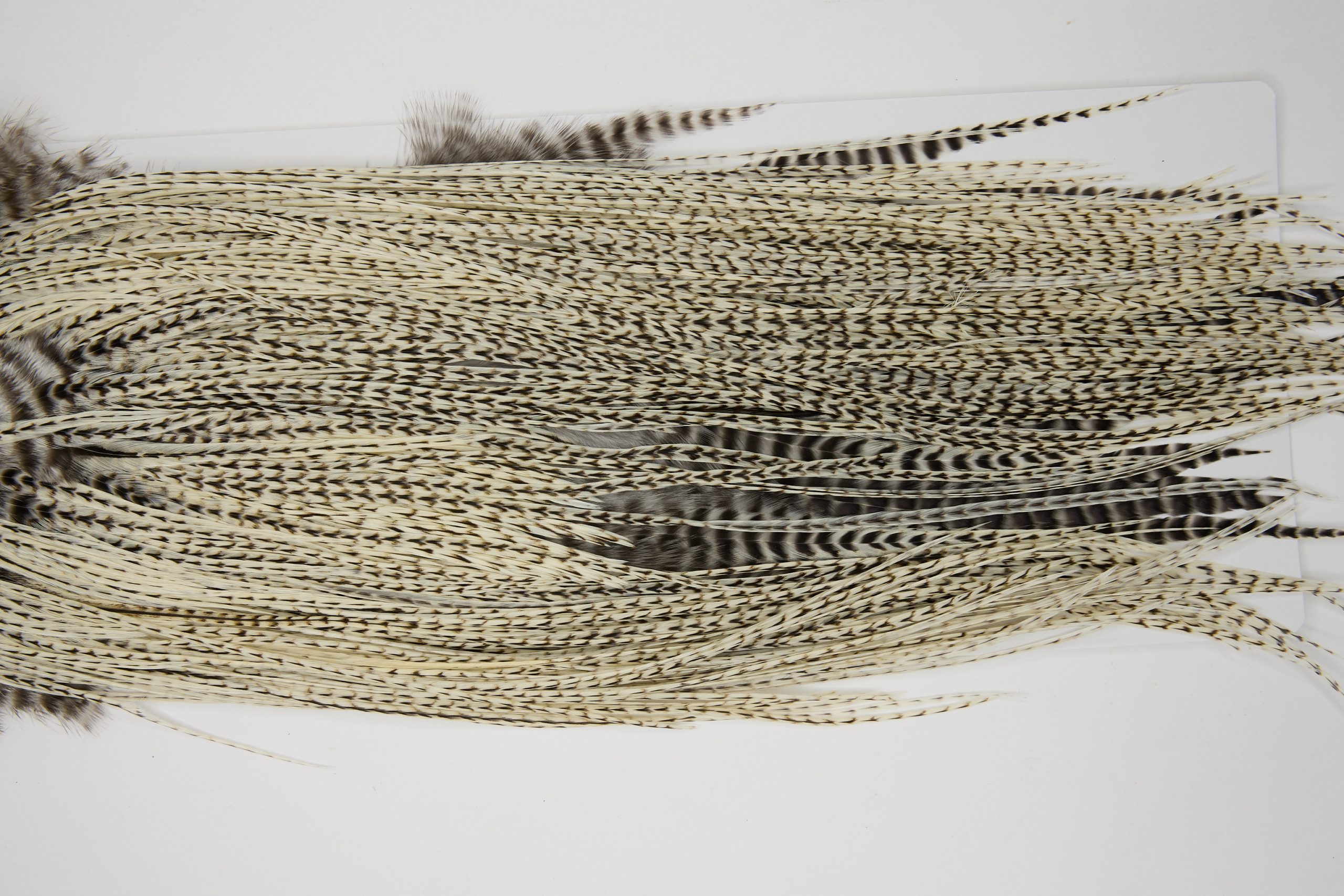 12118 Hebert Dry Fly Hackle Pro Grade Rooster Saddle Unique Variant Ties Size 12-16