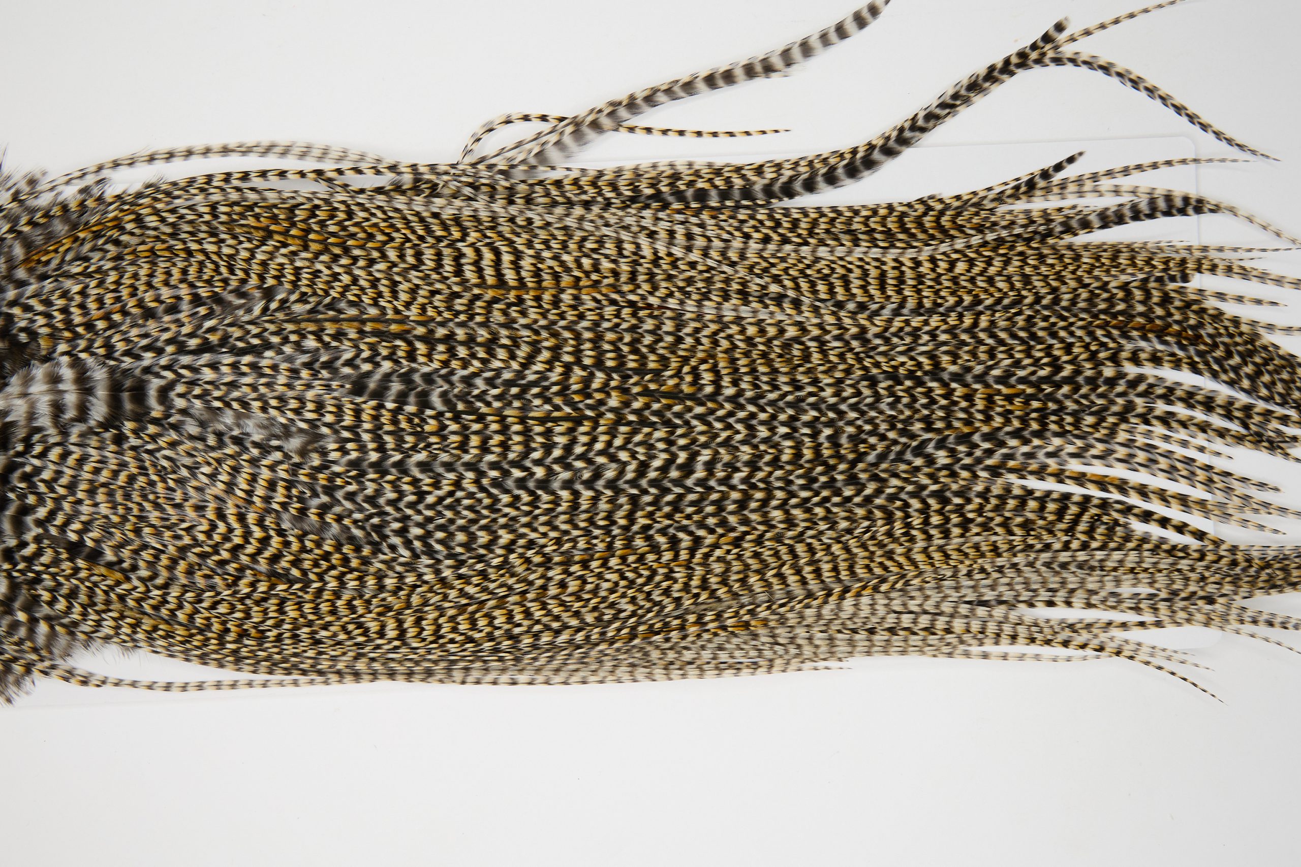 12123 Hebert Dry Fly Hackle Pro Grade Rooster Saddle Grizzly Variant Ties Size 12-18