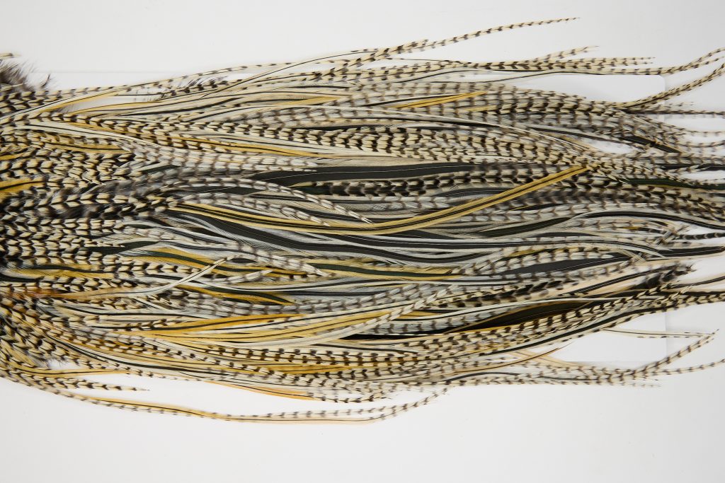 12124 Hebert Dry Fly Hackle Pro Grade Rooster Saddle Grizzly Variant Ties Size 10-14