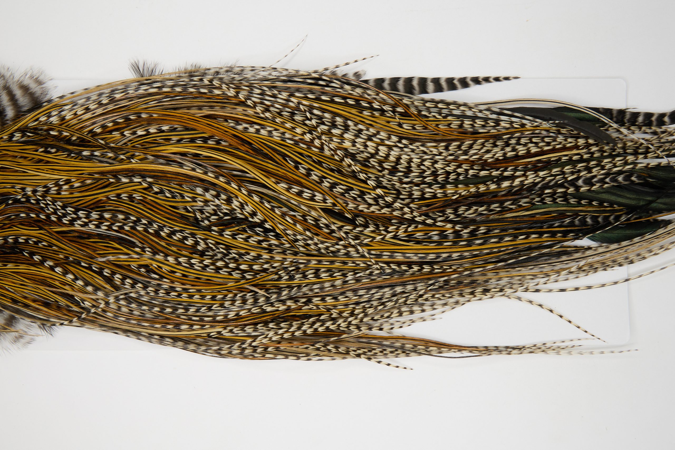 12125 Hebert Dry Fly Hackle Pro Grade Rooster Saddle Grizzly Variant Ties Size 14-18