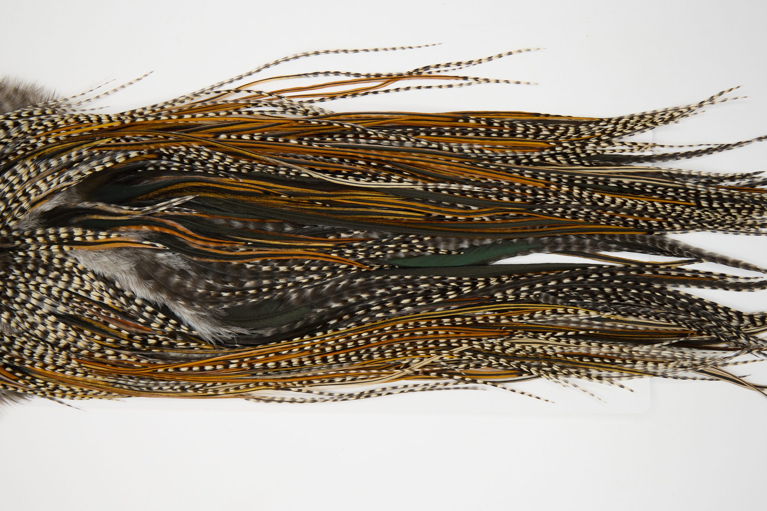 12130 Hebert Dry Fly Hackle Pro Grade Rooster Saddle Grizzly Variant Ties Size 12-18