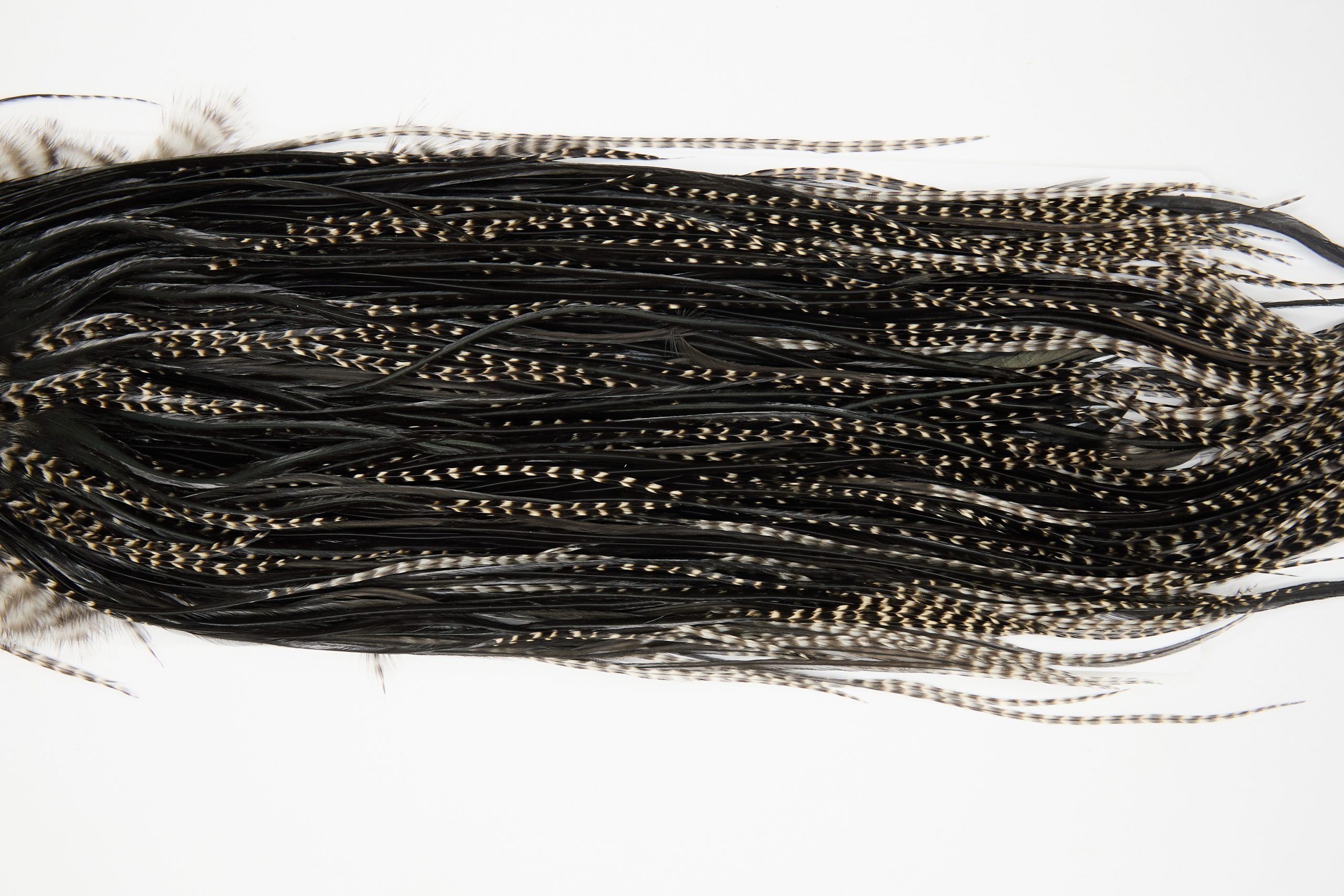 12133 Hebert Dry Fly Hackle Pro Grade Rooster Saddle Grizzly Variant Ties Size 12-14