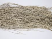 12140 Hebert Dry Fly Hackle Pro Grade Rooster Saddle Grizzly Variant Ties Size 14-18