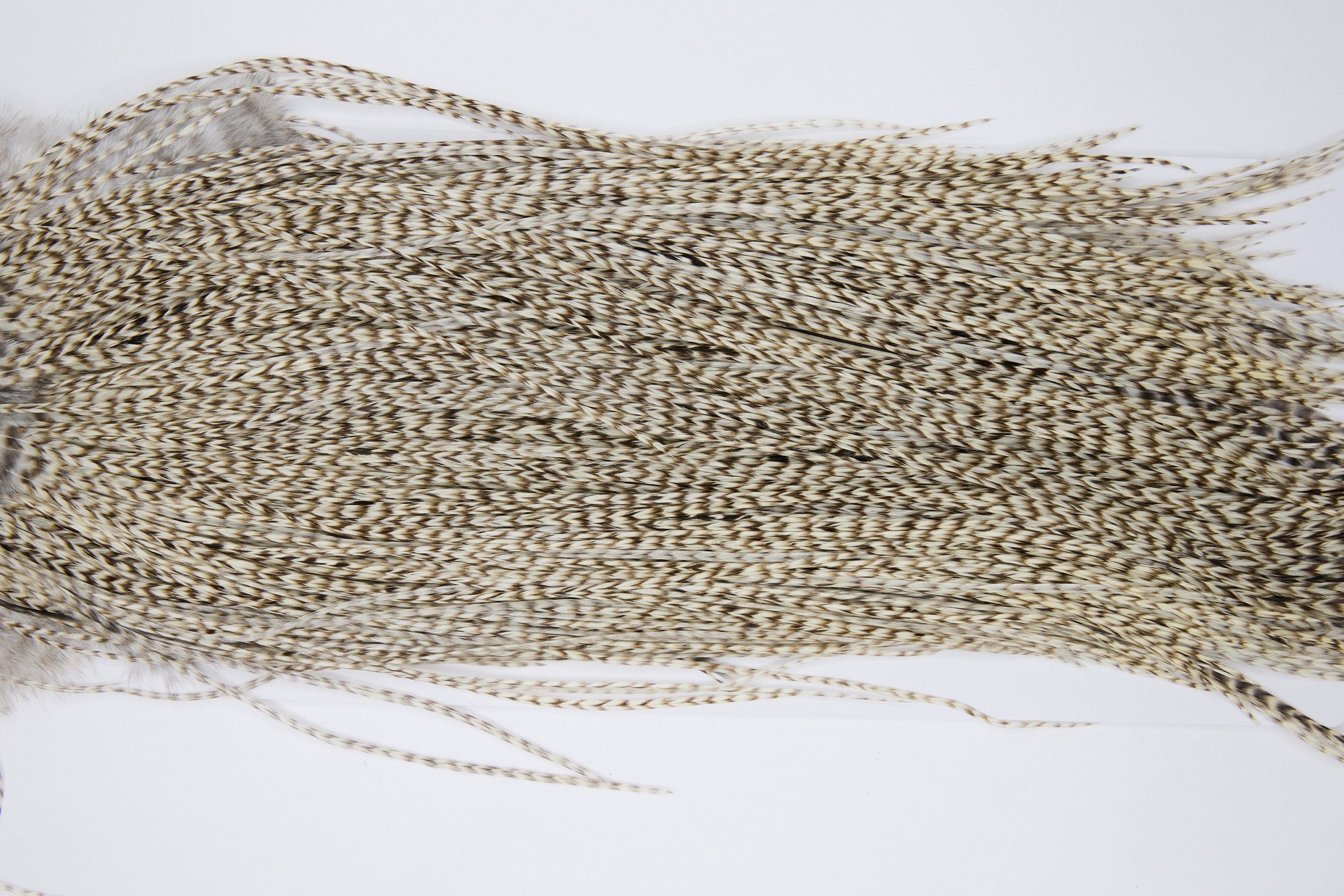 12140 Hebert Dry Fly Hackle Pro Grade Rooster Saddle Grizzly Variant Ties Size 14-18