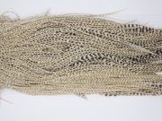 12141 Hebert Dry Fly Hackle Pro Grade Rooster Saddle Grizzly Variant Ties Size 12-16