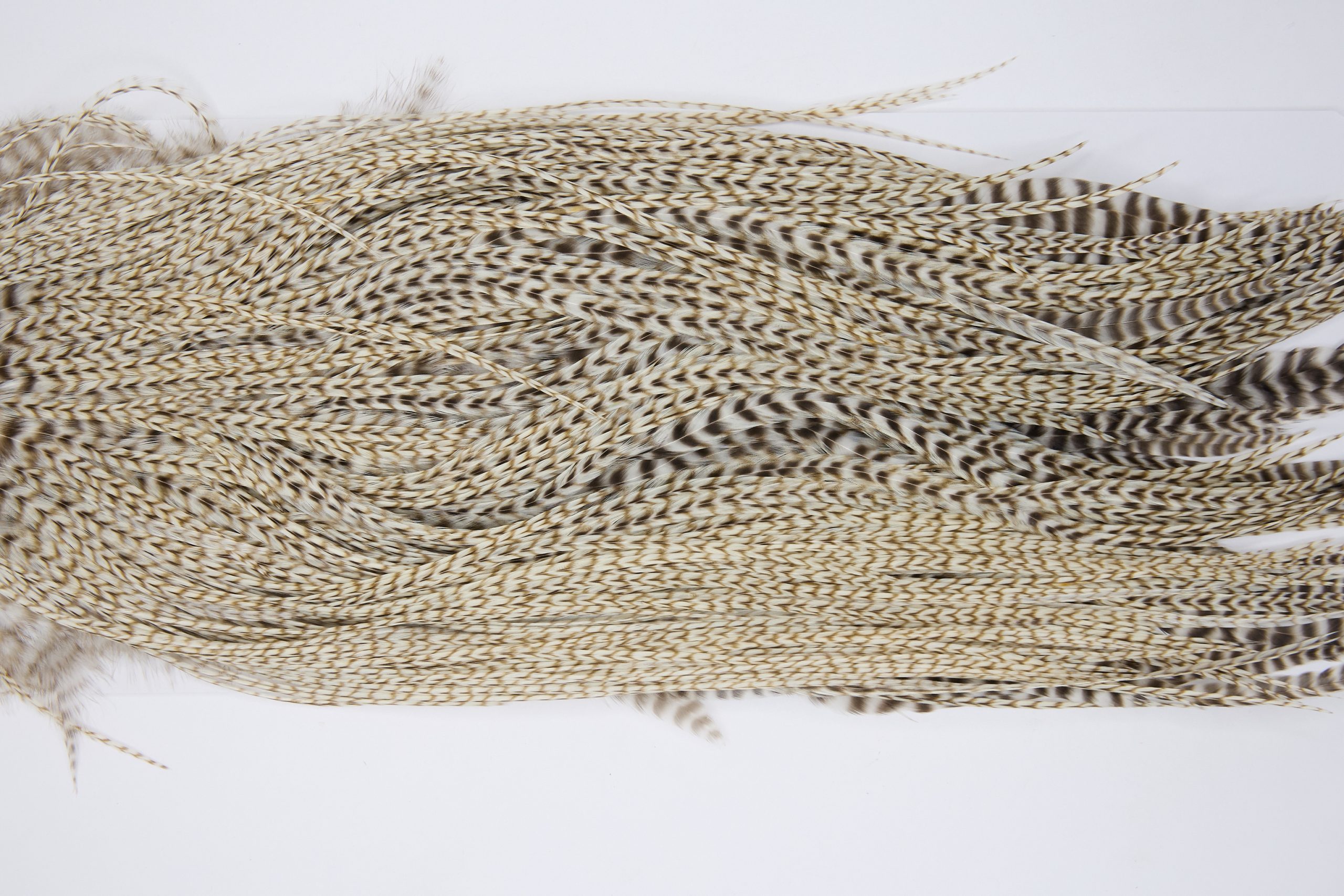 12141 Hebert Dry Fly Hackle Pro Grade Rooster Saddle Grizzly Variant Ties Size 12-16