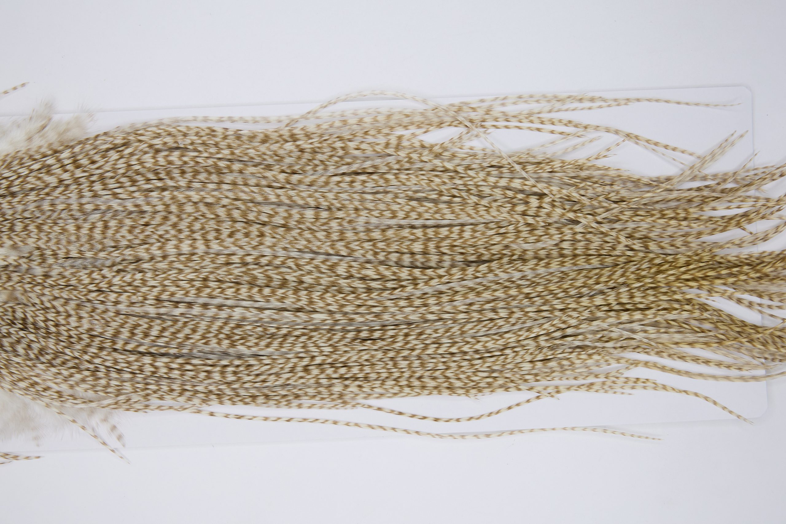 12143 Hebert Dry Fly Hackle Pro Grade Rooster Saddle Grizzly Variant Ties Size 14-16