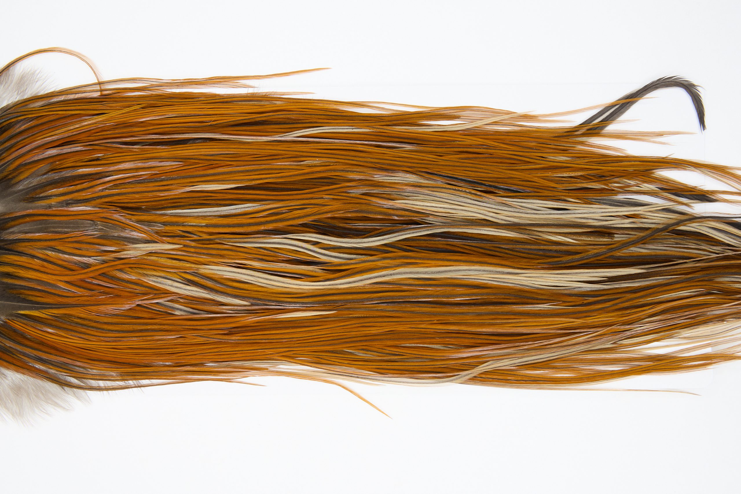 12145 Hebert Dry Fly Hackle Pro Grade Rooster Saddle Light Brown Ties Size 12-16