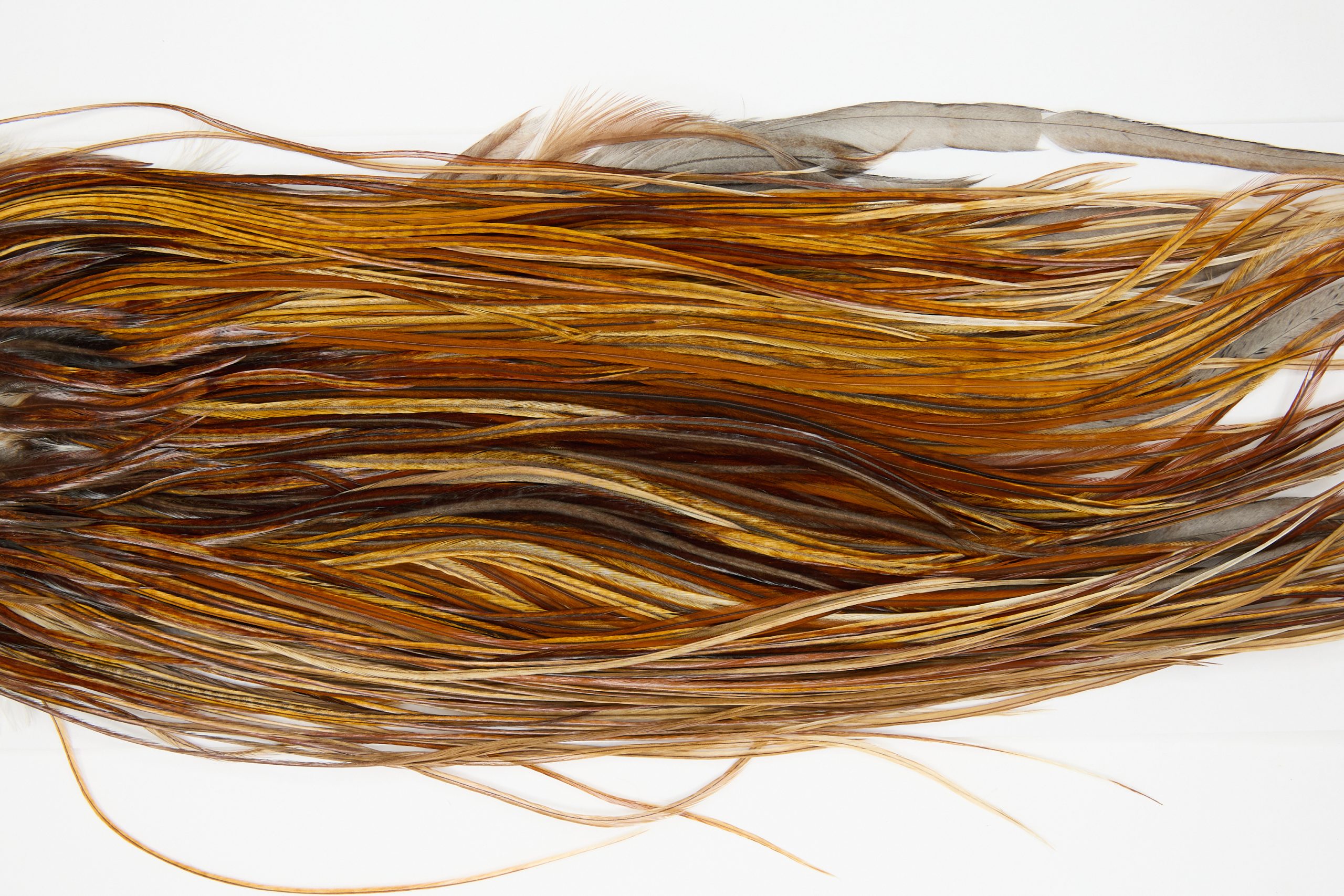 12151 Hebert Dry Fly Hackle Pro Grade Rooster Saddle Light Brown Ties Size 14-16