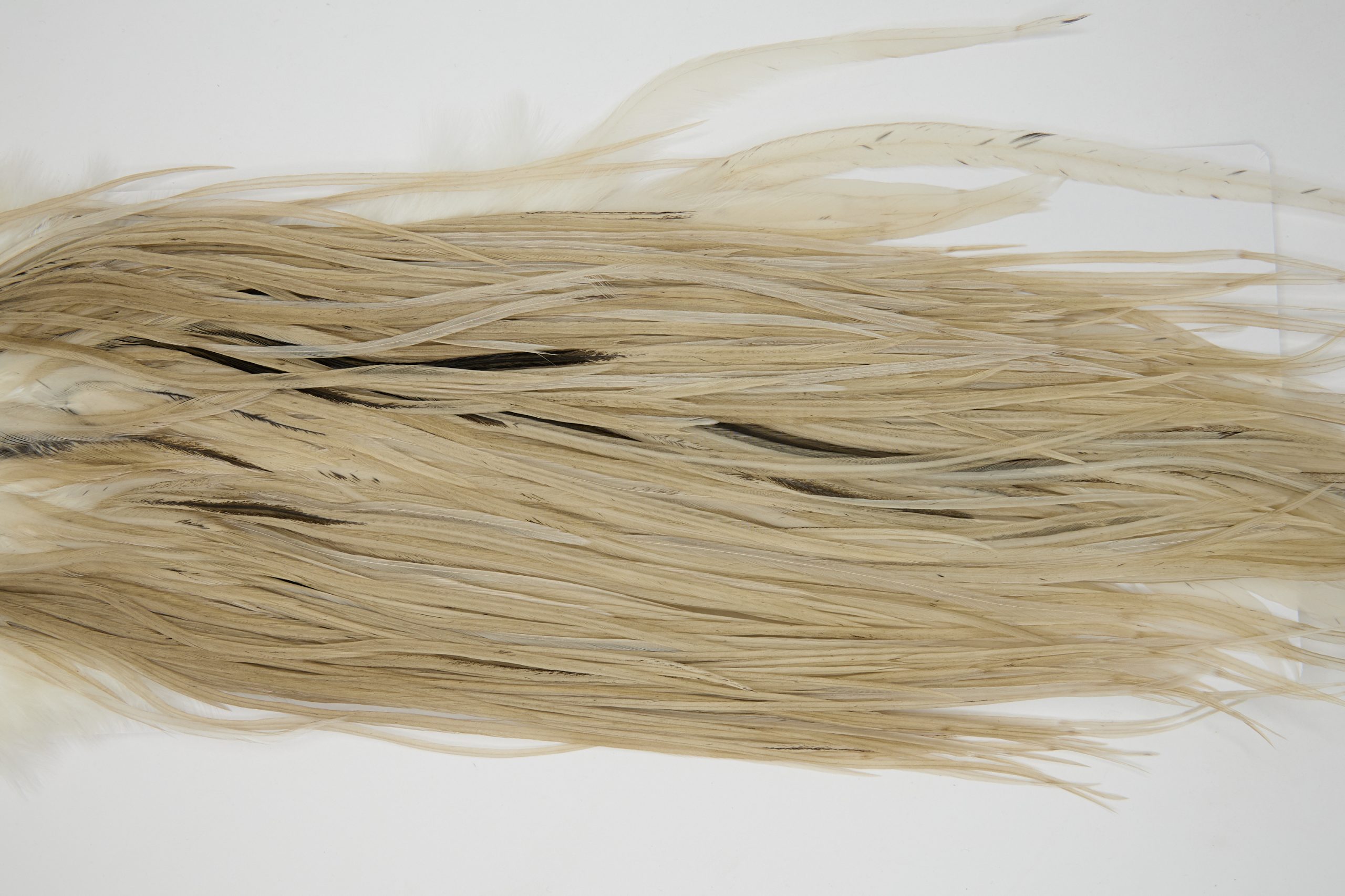 12157 Hebert Dry Fly Hackle Pro Grade Rooster Saddle Light Tan Dun Ties Size 12-14