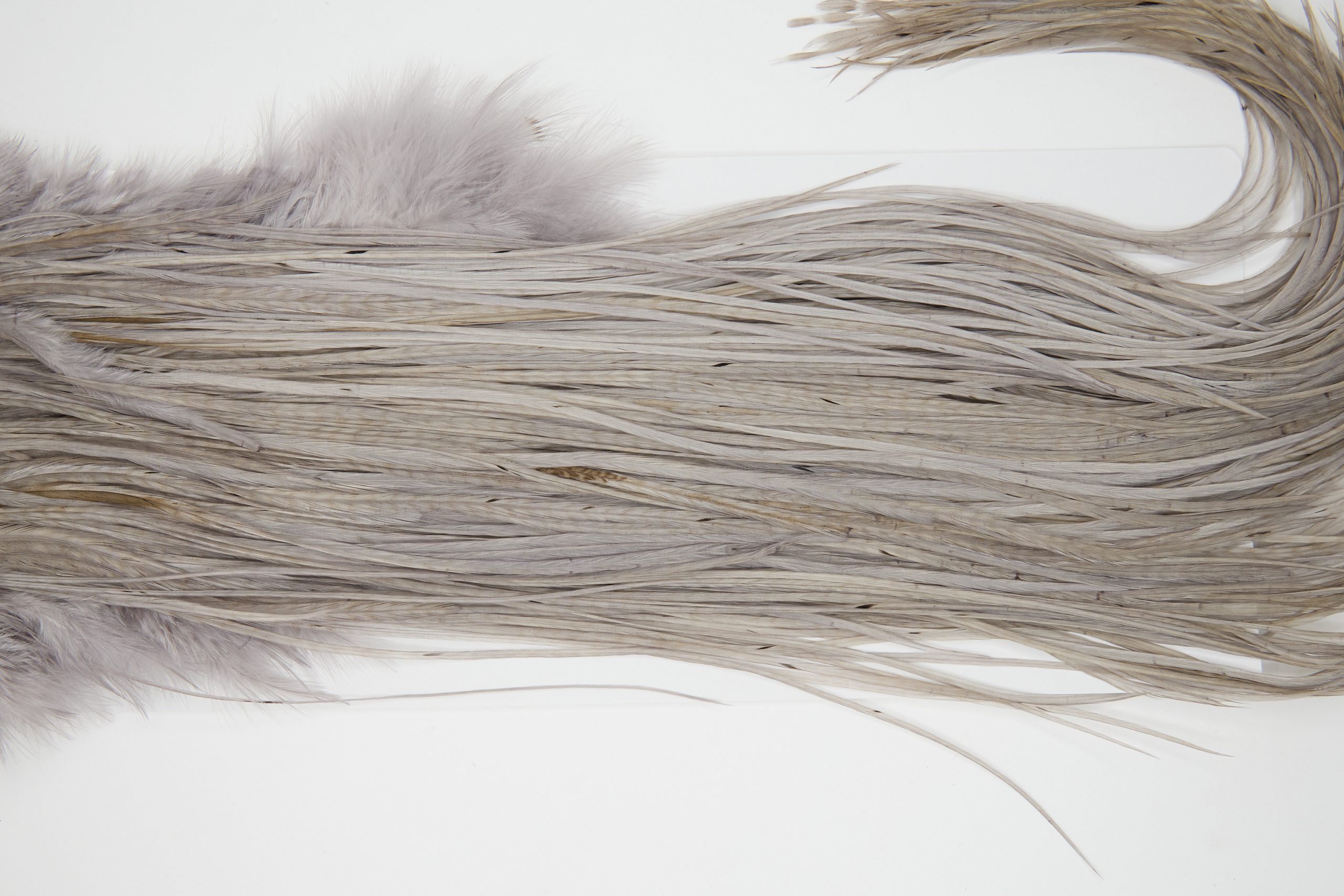 12159 Hebert Dry Fly Hackle Pro Grade Rooster Saddle Medium Grey Dun Ties Size 12-16