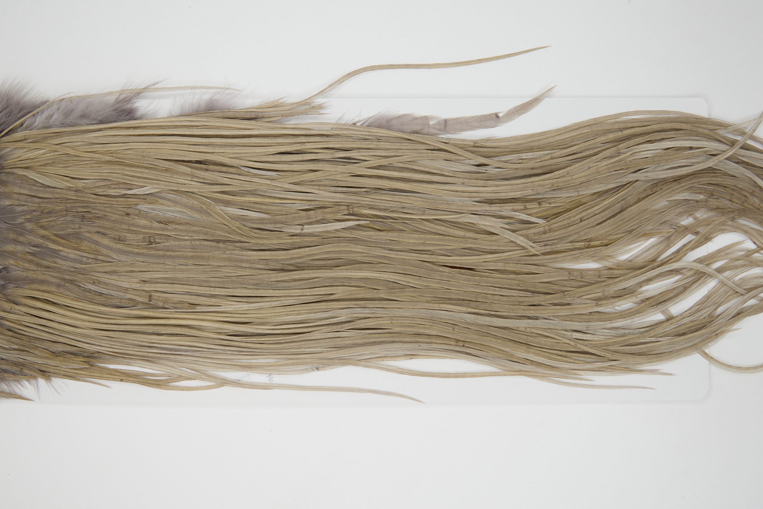 12163 Hebert Dry Fly Hackle Pro Grade Rooster Saddle Medium Grey Dun Ties Size 12-14