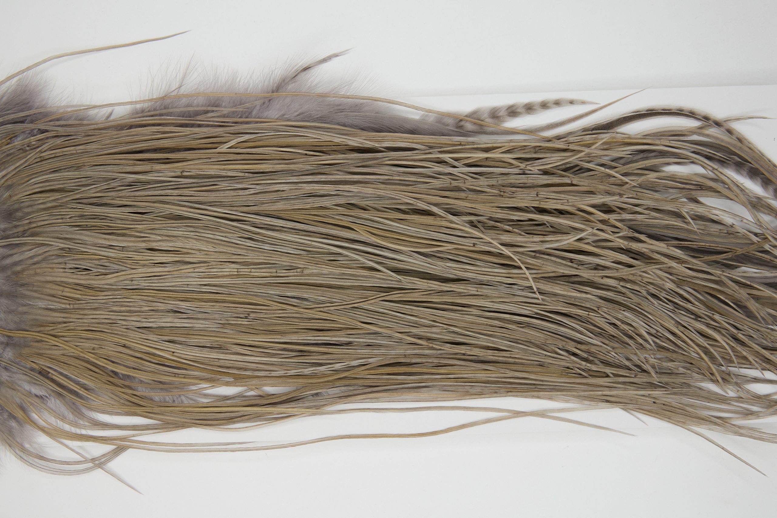 12164 Hebert Dry Fly Hackle Pro Grade Rooster Saddle Medium Grey Dun Ties Size 14-18