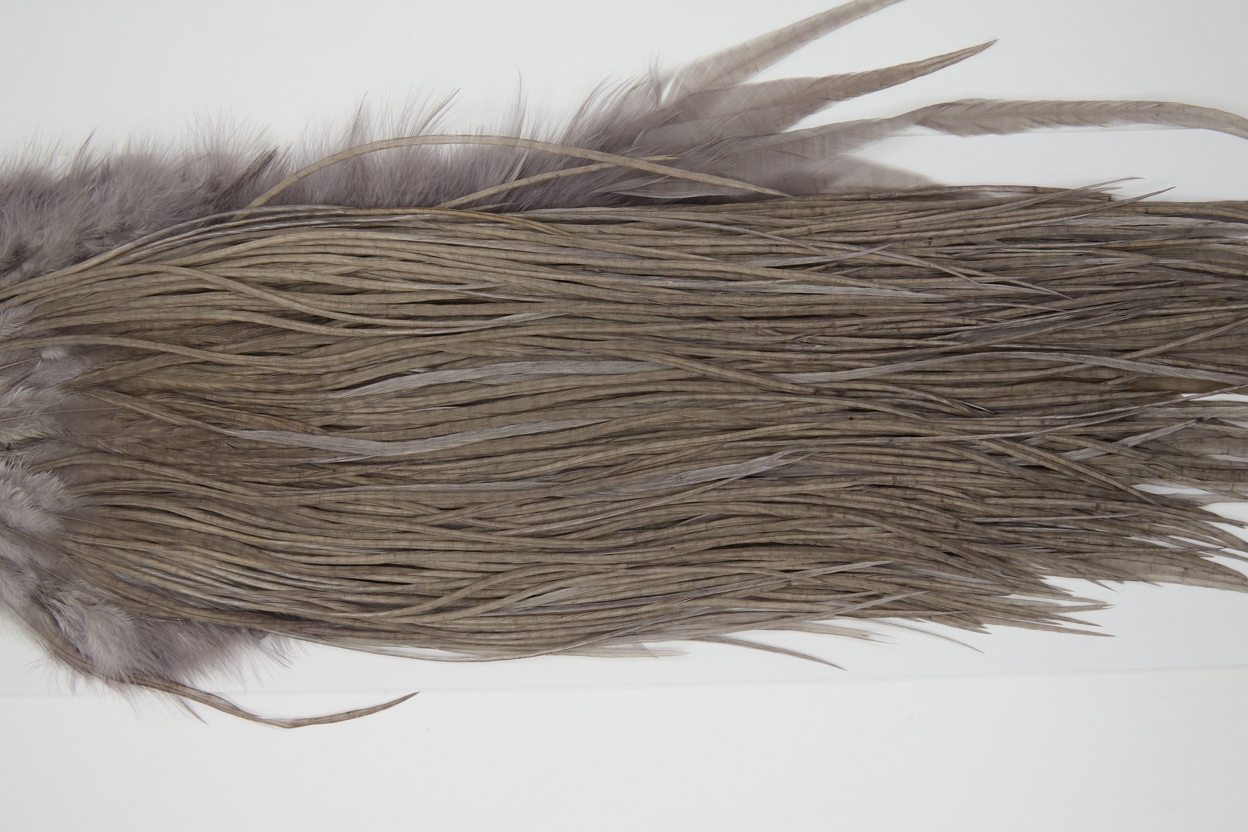 12166 Hebert Dry Fly Hackle Pro Grade Rooster Saddle Medium Grey Dun Ties Size 12-14