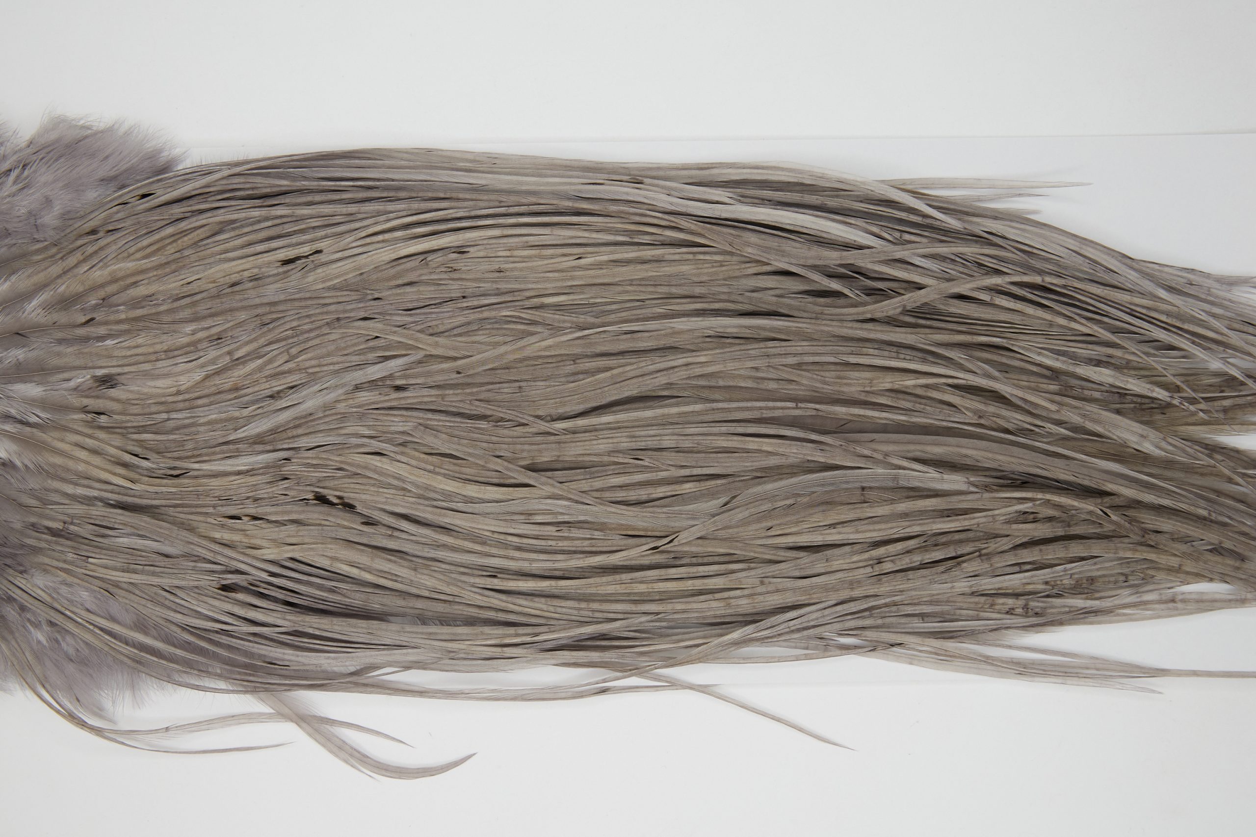 12167 Hebert Dry Fly Hackle Pro Grade Rooster Saddle Medium Grey Dun Ties Size 12-16