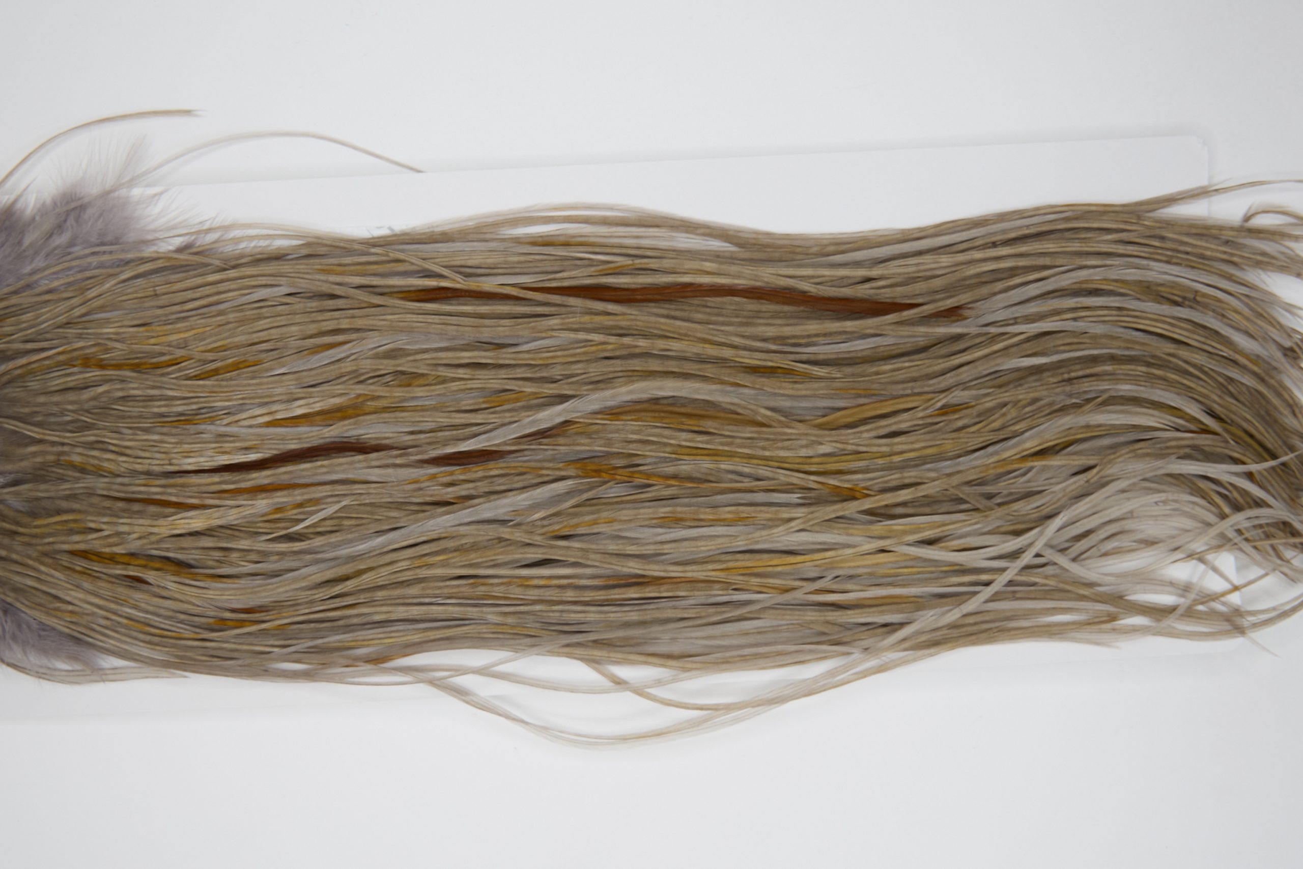 12171 Hebert Dry Fly Hackle Pro Grade Rooster Saddle Medium Grey Dun Ties Size 14-16