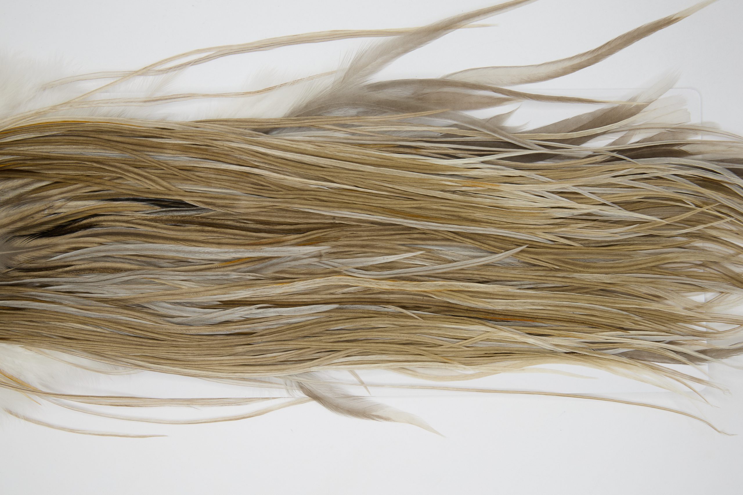 12181 Hebert Dry Fly Hackle Pro Grade Rooster Saddle Medium Brown Dun Ties Size 12-14