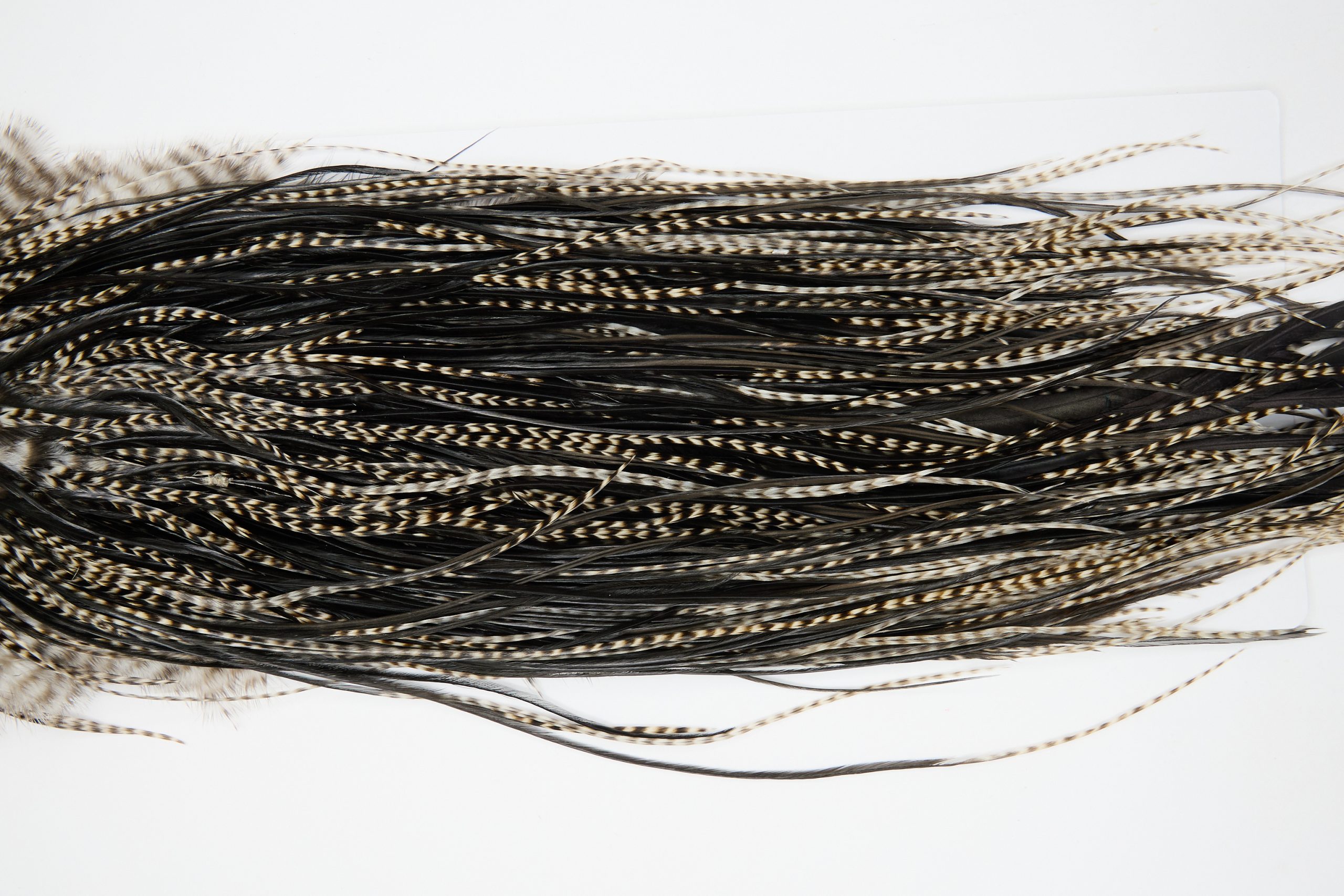 12225 Hebert Dry Fly Hackle Bronze Grade Rooster Saddle Grizzly Variant Ties Size 14-18