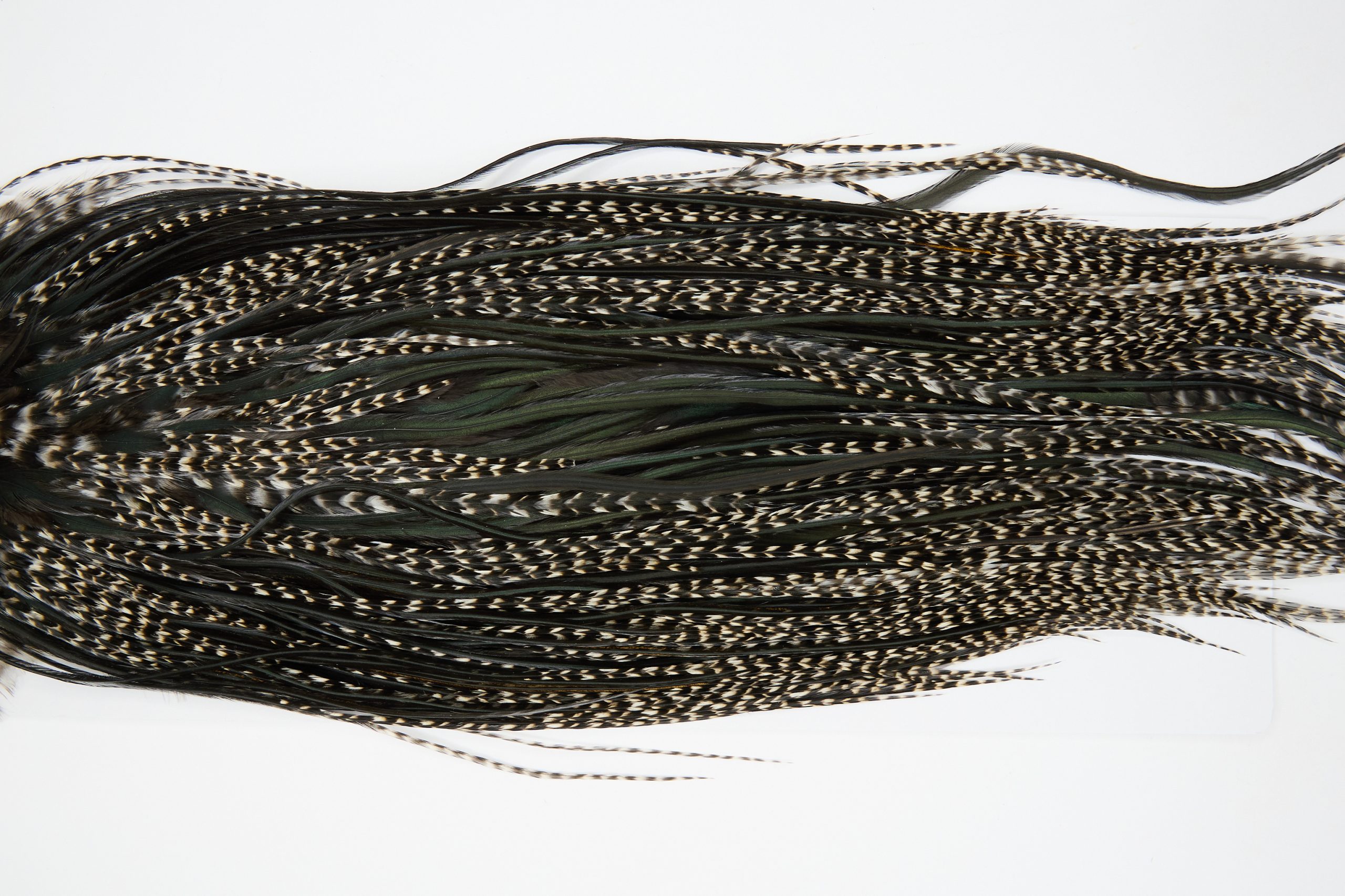 12229 Hebert Dry Fly Hackle Bronze Grade Rooster Saddle Grizzly Variant Ties Size 12-16