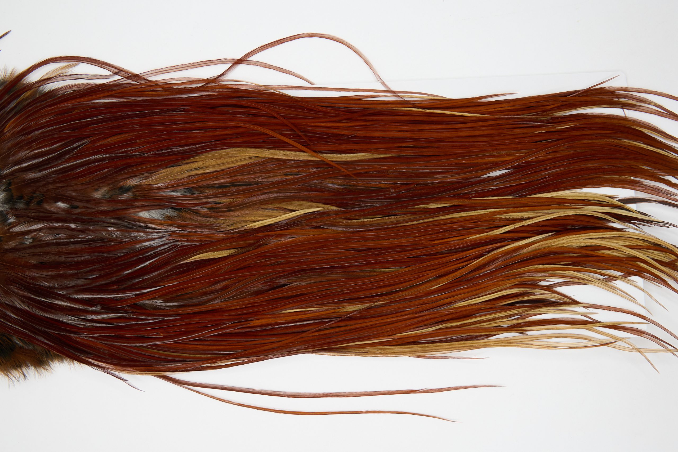 12239 Hebert Dry Fly Hackle Bronze Grade Rooster Saddle Medium Brown Ties Size 10-14