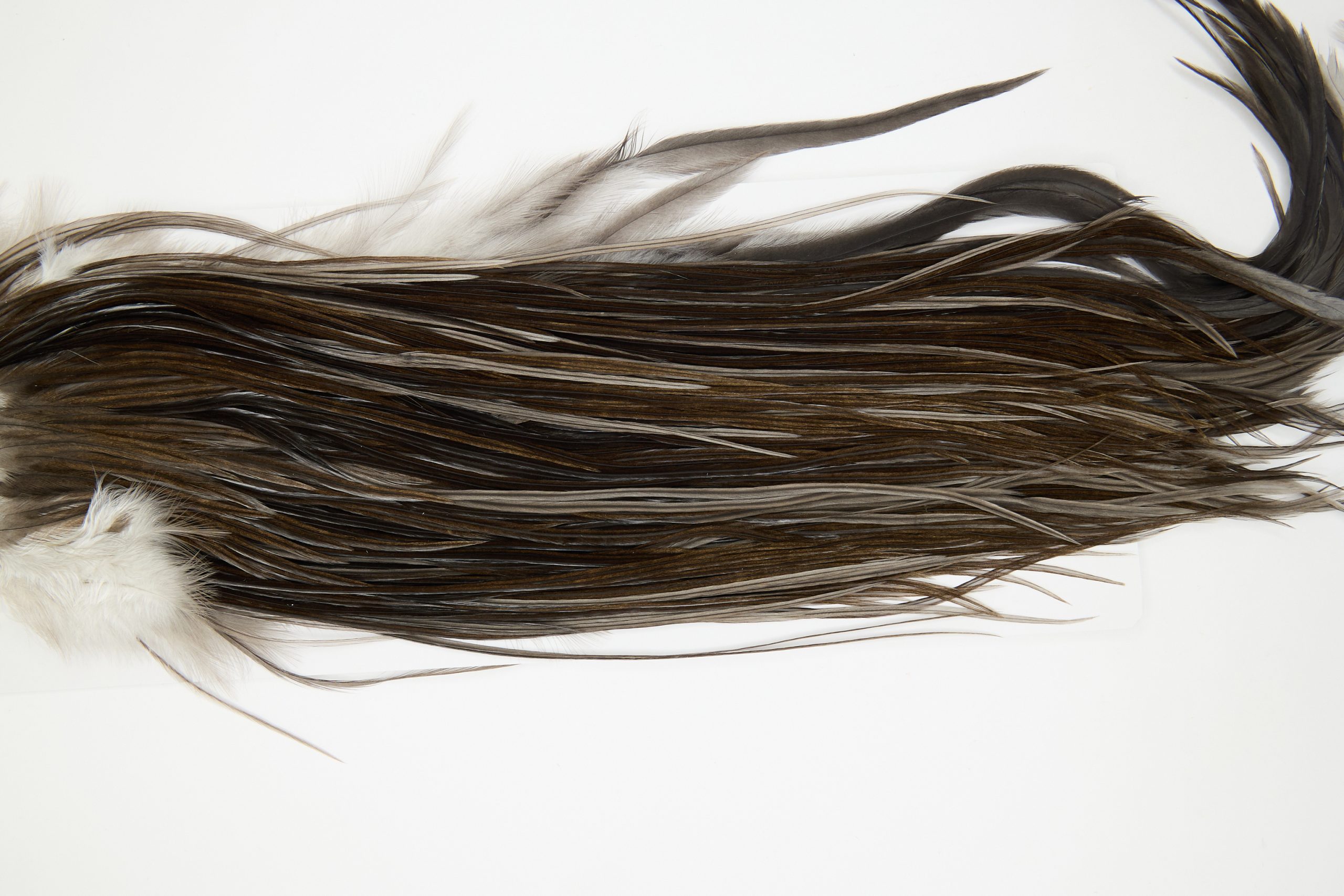 12251 Hebert Dry Fly Hackle Bronze Grade Rooster Saddle Dark Grey Dun Ties Size 10-14