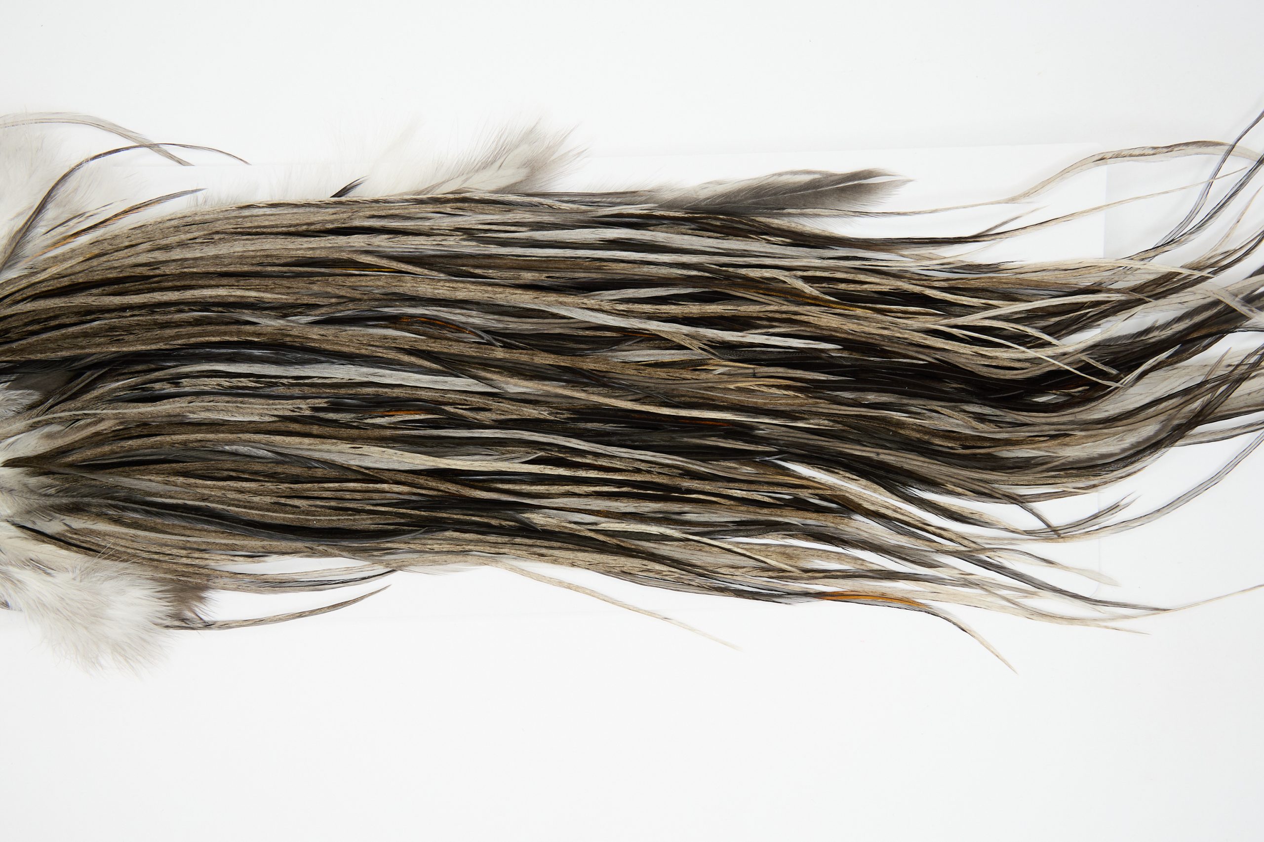 12254 Hebert Dry Fly Hackle Bronze Grade Rooster Saddle Dark Grey Dun Ties Size 8-14