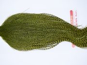 11280 Whiting Dry Fly Hackle Silver Grade Rooster Cape Grizzly Golden Olive Ties Size 8-22