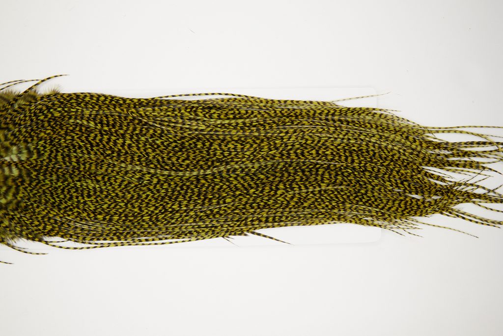 12329 Whiting Dry Fly Hackle Silver Grade Rooster Saddle Grizzly Olive Ties Size 12-14