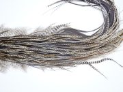 12331 Heritage Dry Fly Hackle Grade 3 Rooster Saddle Variant Ties Size 14-16